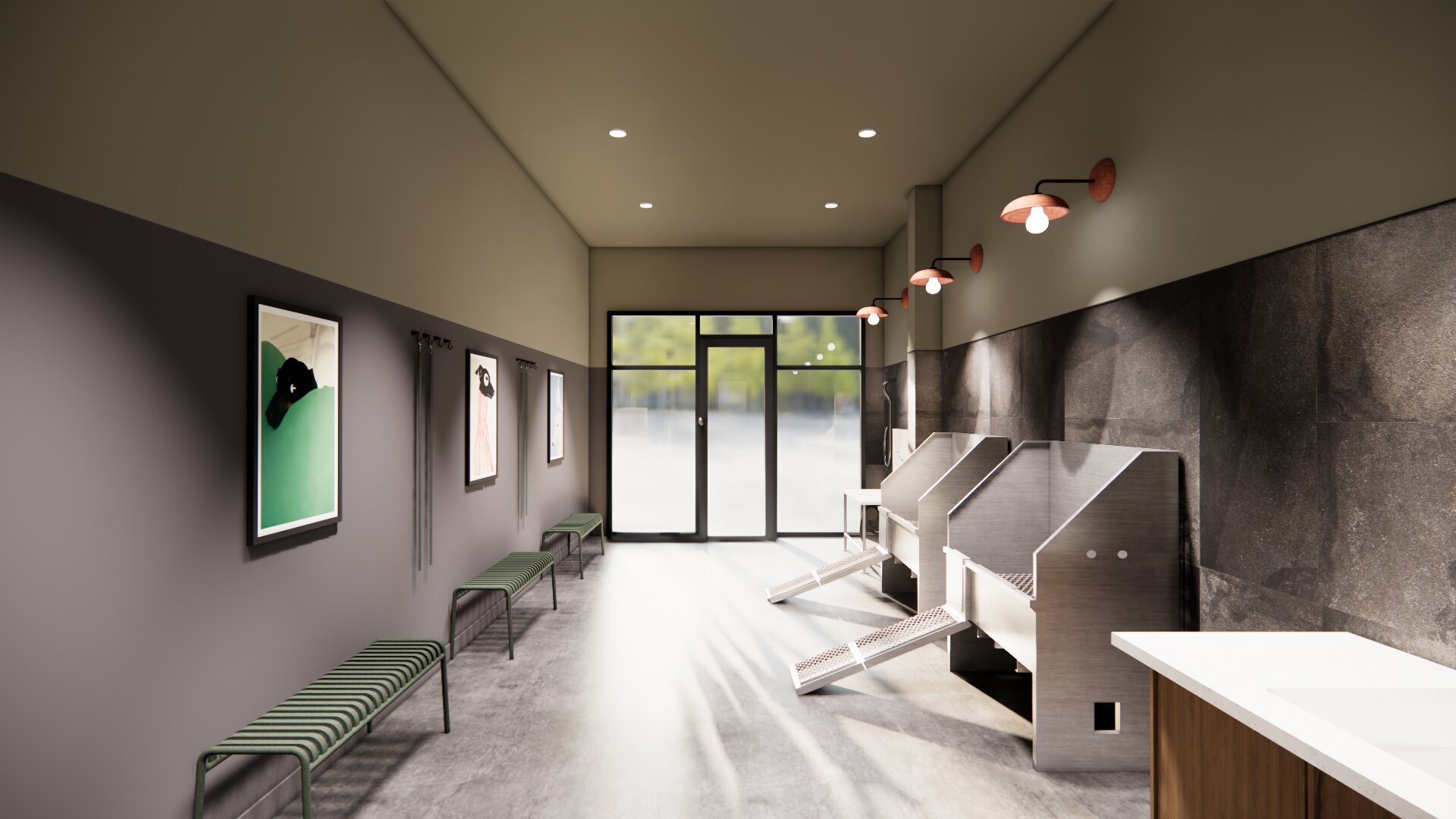 pet wash stations in room with modern finishes modera higley commons apartment homes for rent in gilbert az