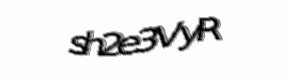 Security check image, please type the characters shown