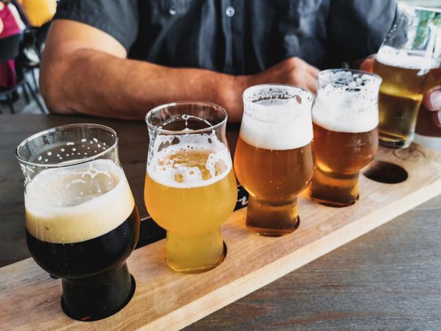 beer flight being consumed at brewery modera south shore apartment homes for rent in marshfield ma