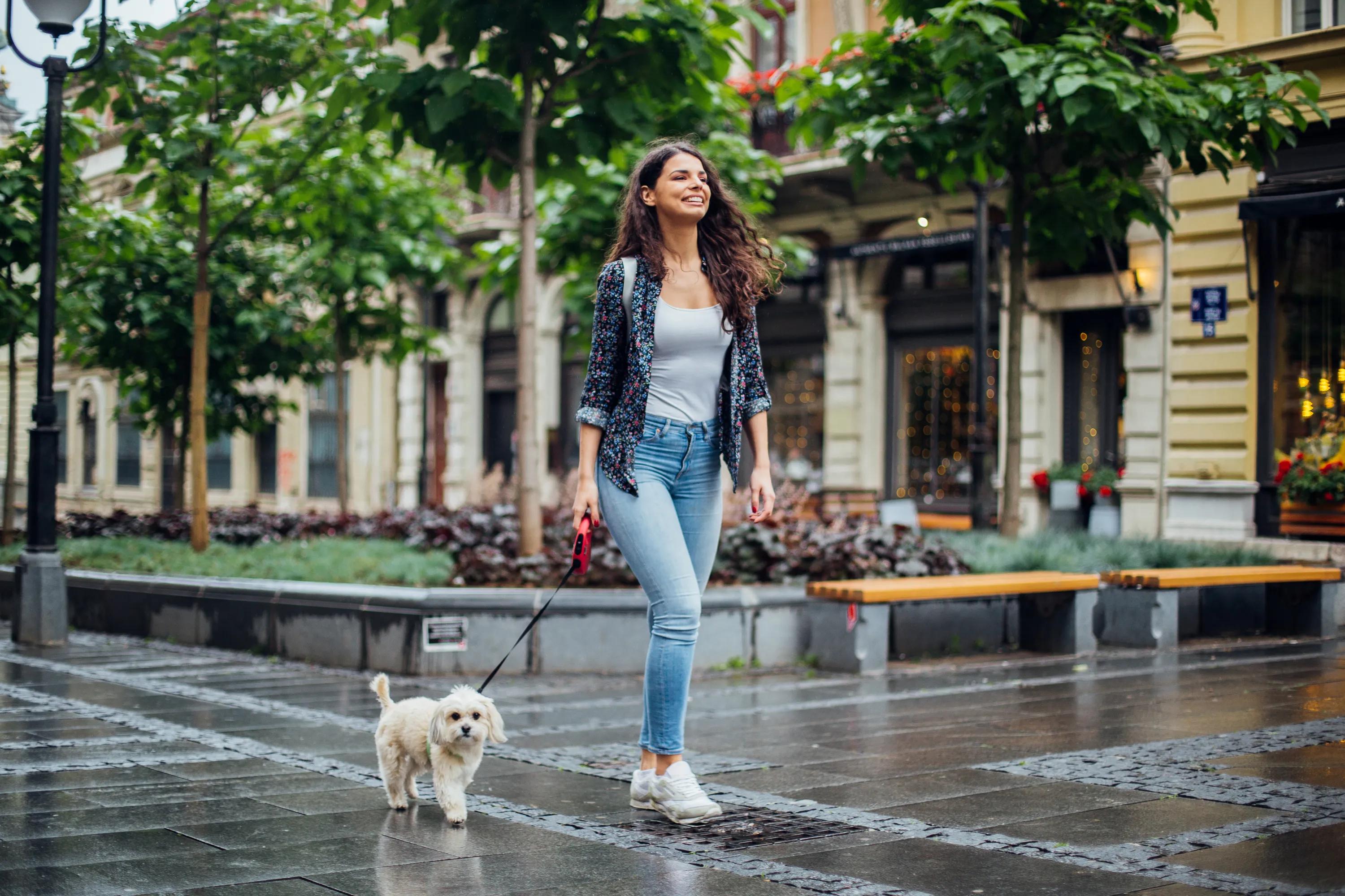 Pet-friendly community with pet spa modera second avenue apartments in denver