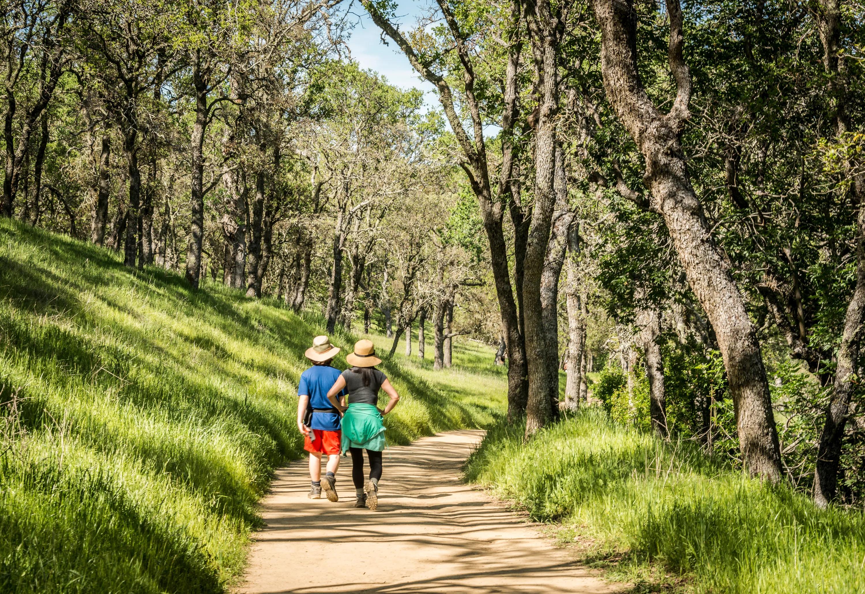 Access to a 1-mile nature trail surrounding the community, including a 2-acre greenway, perfect for pet lovers modera ridgeline apartments