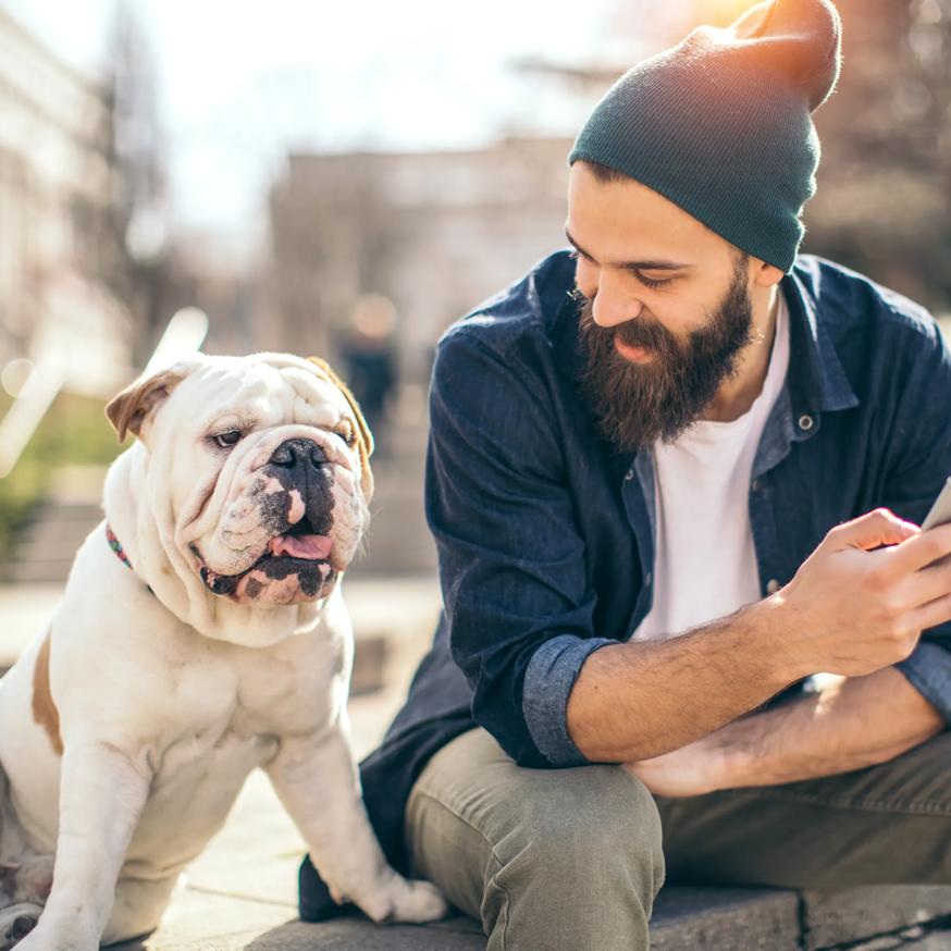 dog and human sitting on bench together on sunny day modera mcgavock apartment homes for rent in nashville tn