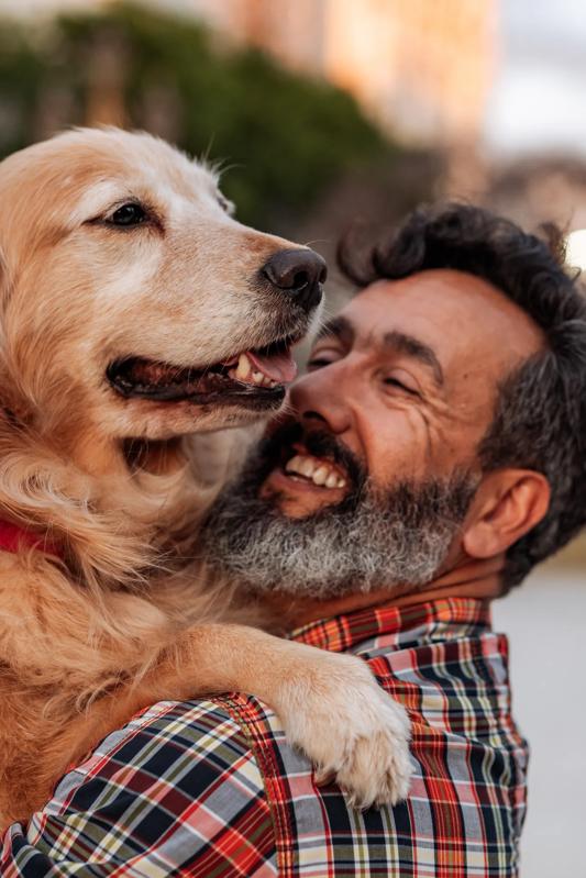 mature adult with dog the metropolitan at 40 park morristown nj apartments for rent