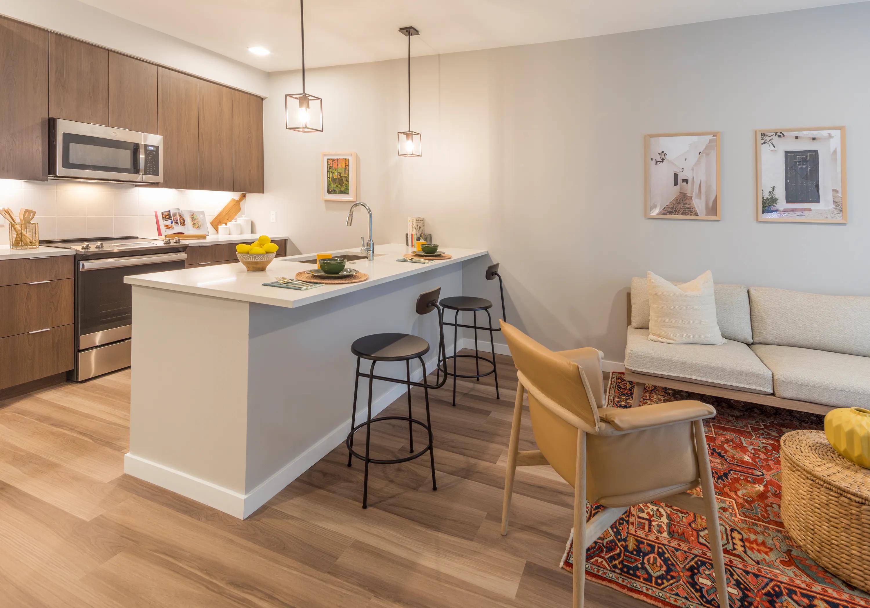 Spacious living room with open concept designer kitchen modera lohi apartments in denver co