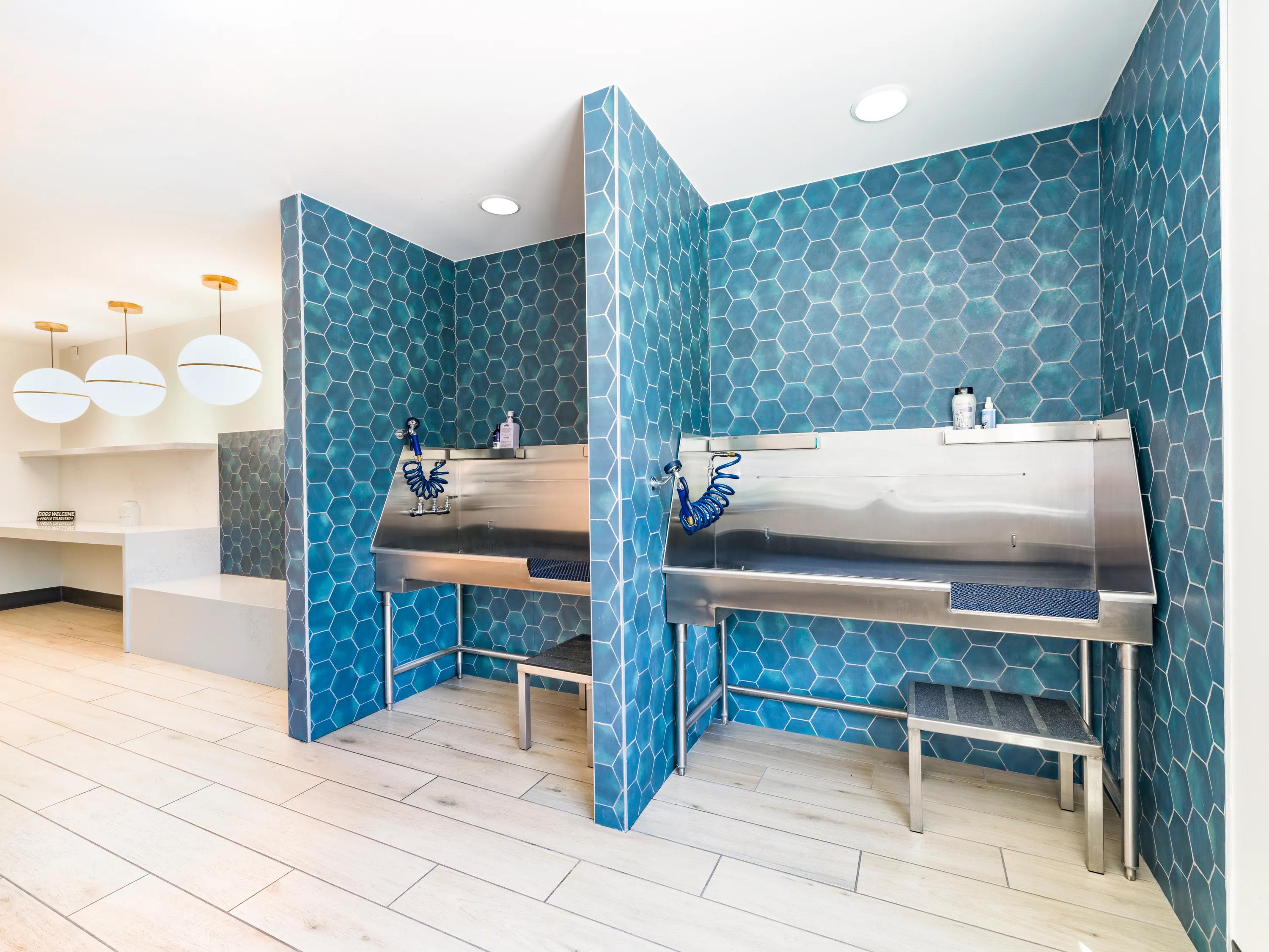 Pet-friendly community with pet spa