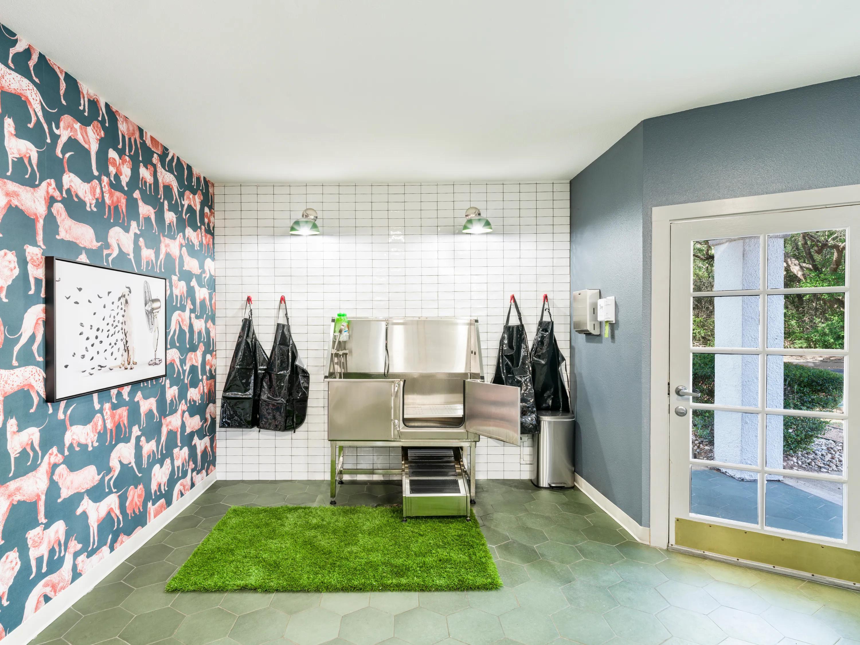dog washing station with grooming tools alister sunset valley apartment homes for rent in austin tx