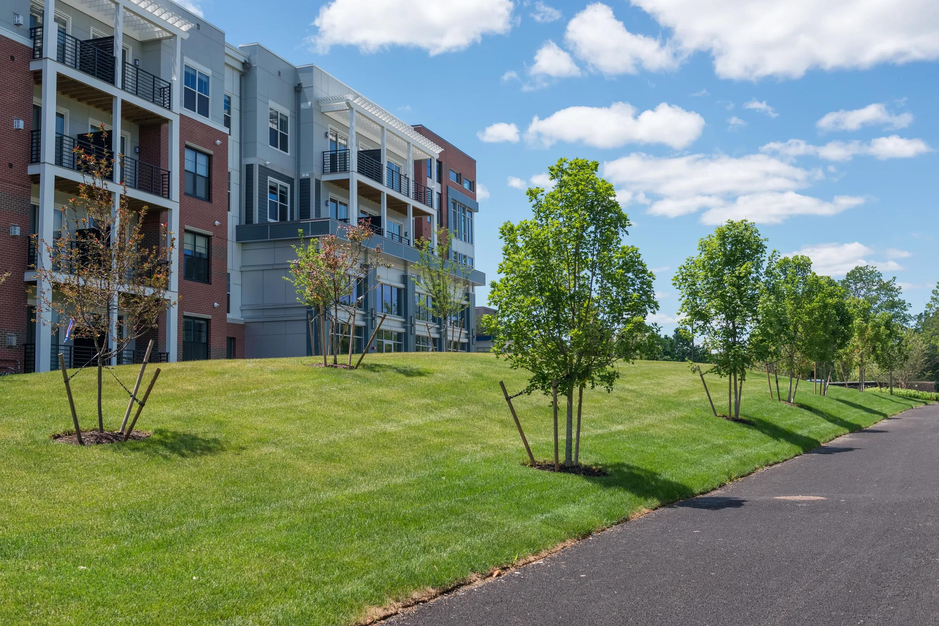 Green space views*
