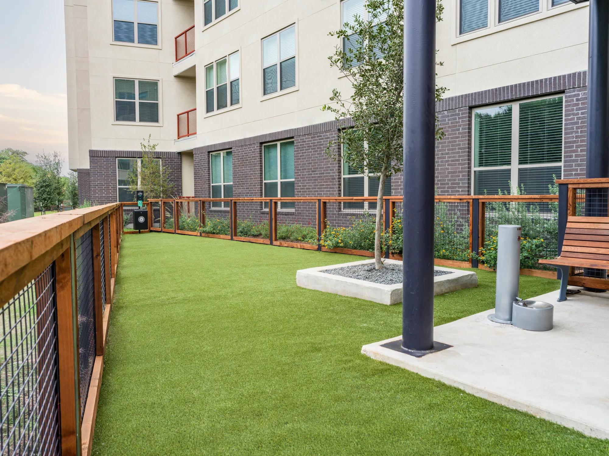 dog smiling inside modera eado apartment homes for rent in austin texas