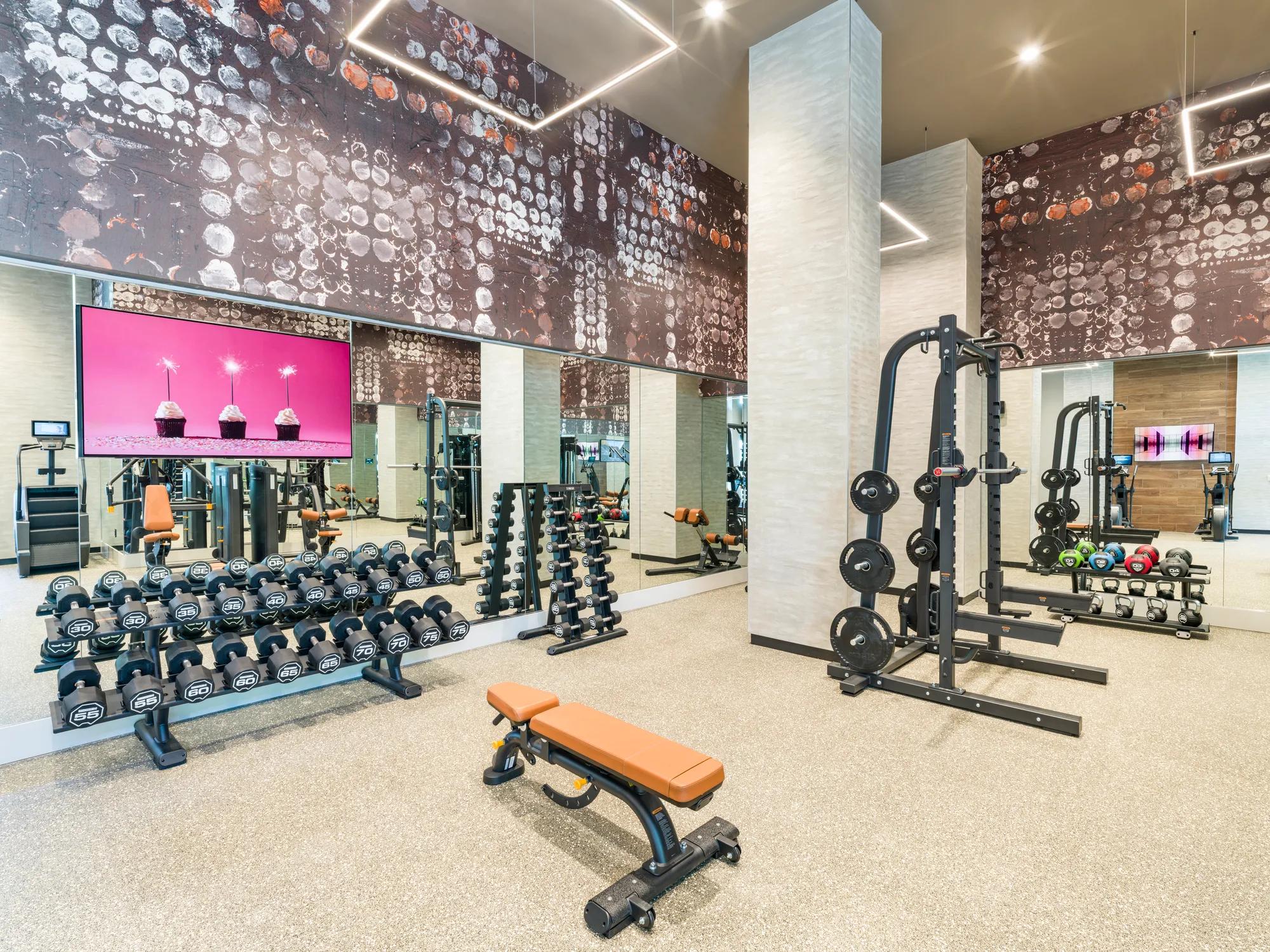 weight equipment in club quality gym modera loso apartment homes for rent in charlotte nc
