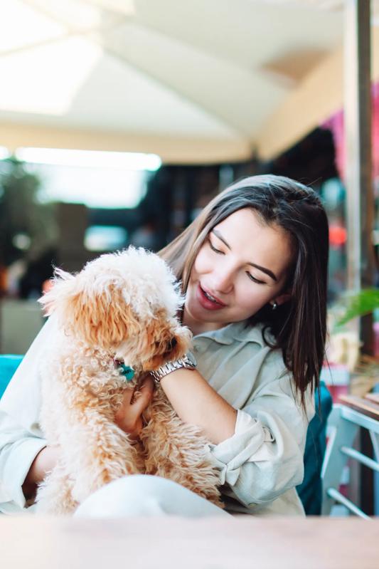 modera st petersburg apartment homes st petersburg fl woman with dog sitting outside