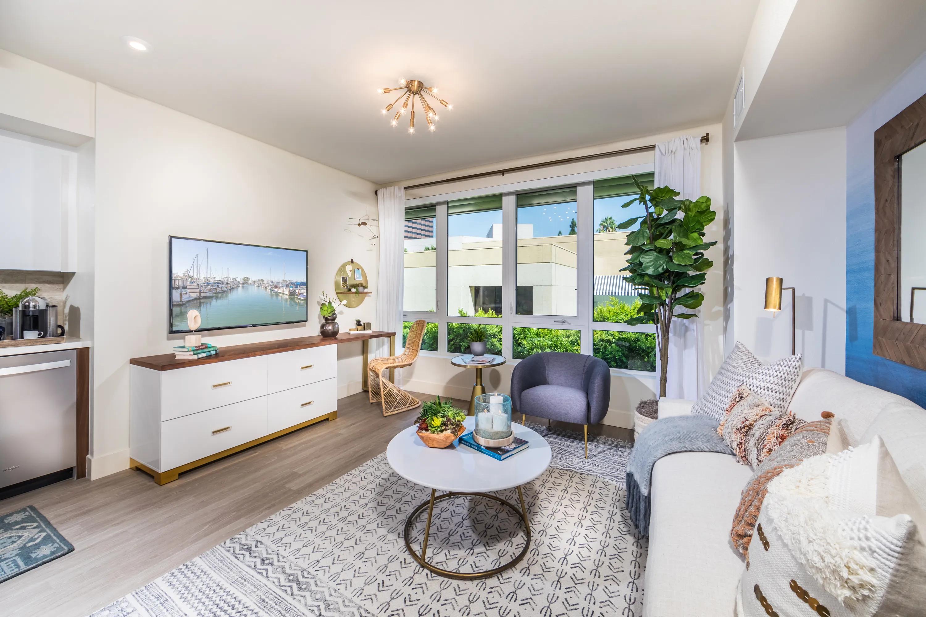 Oversized windows allow a flood of natural light 580 anton apartments