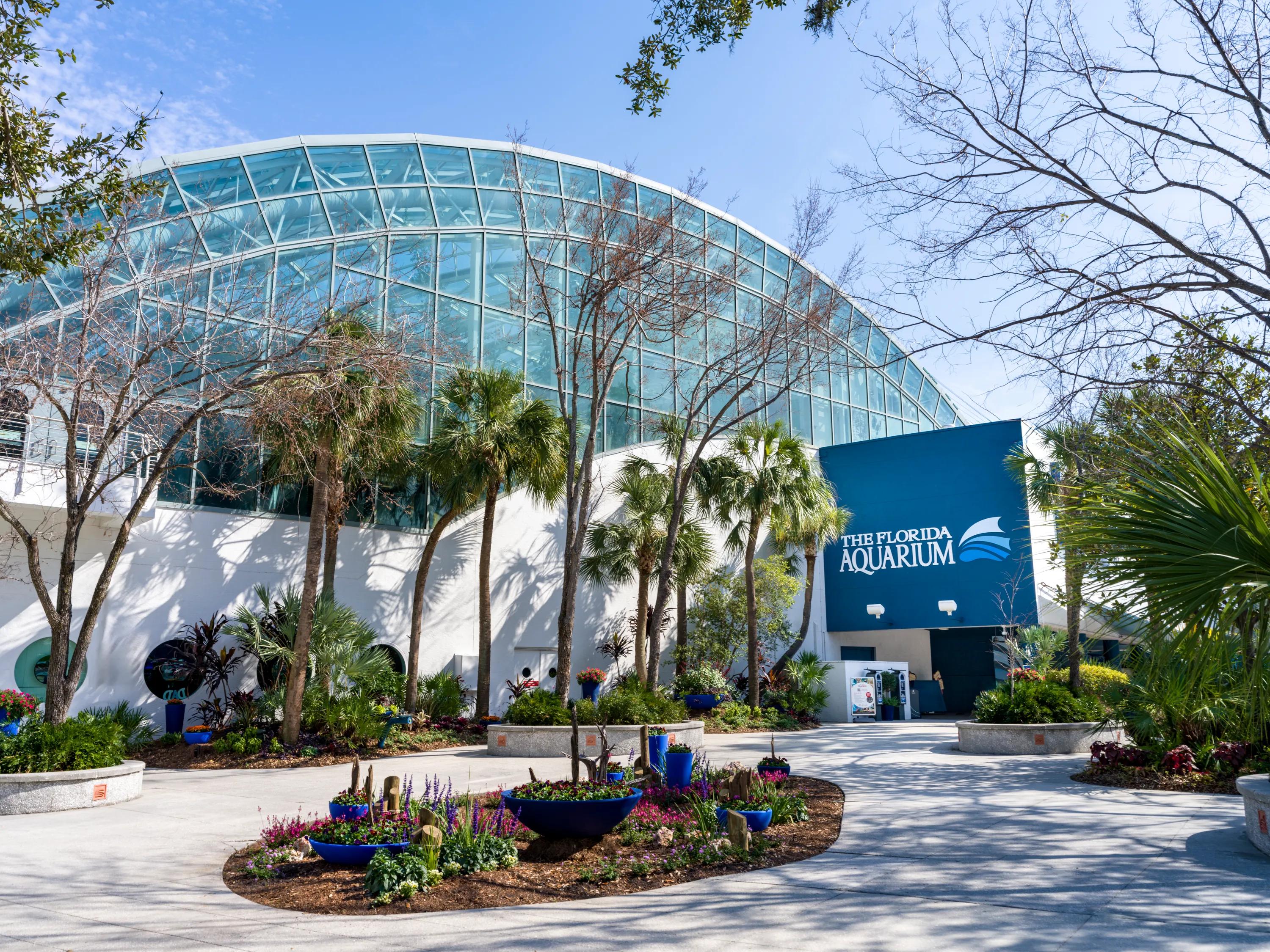 the florida aquarium modera encore apartments in tampa fl tampa