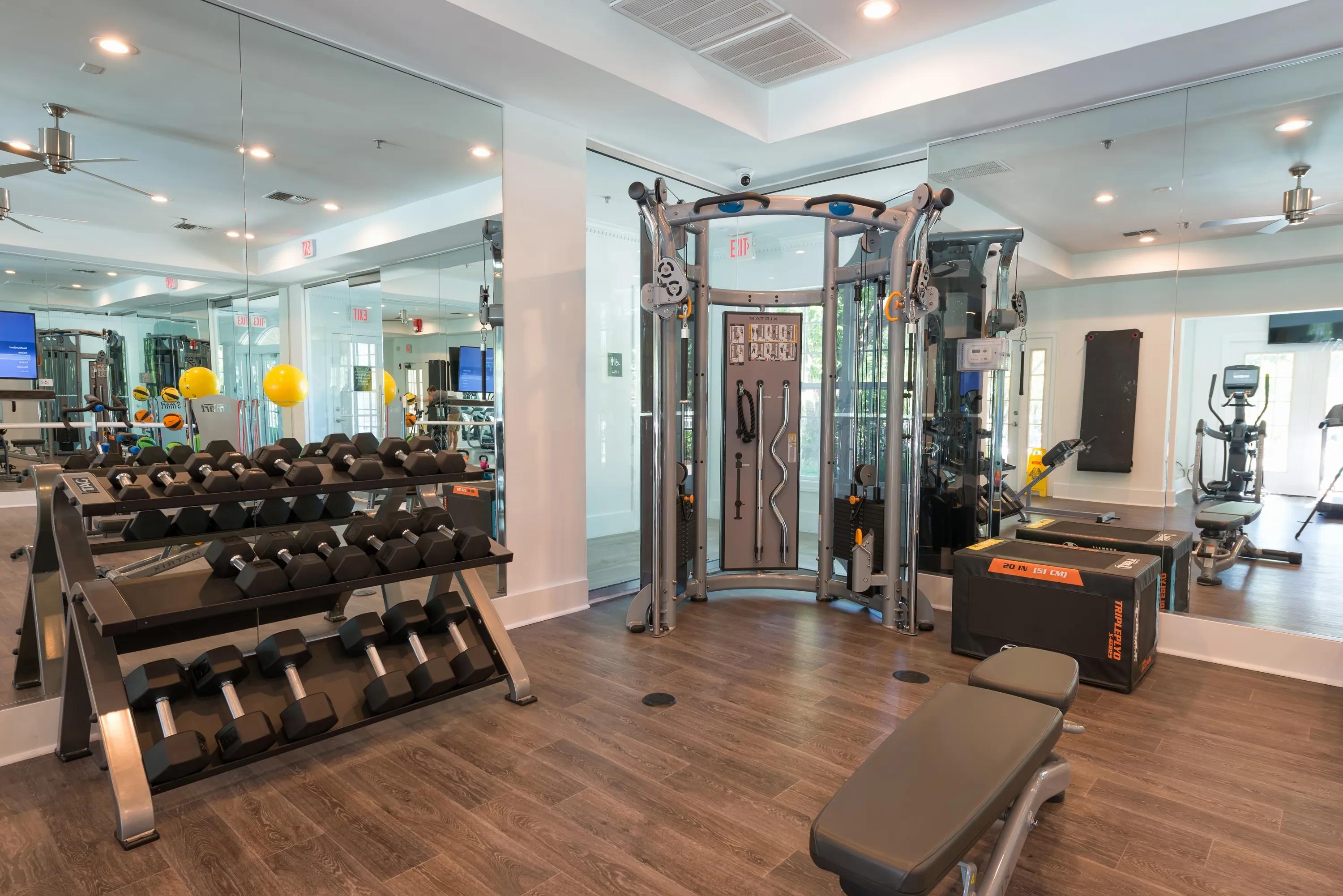 Cardio Machines in Fitness Center | Alister Quincy