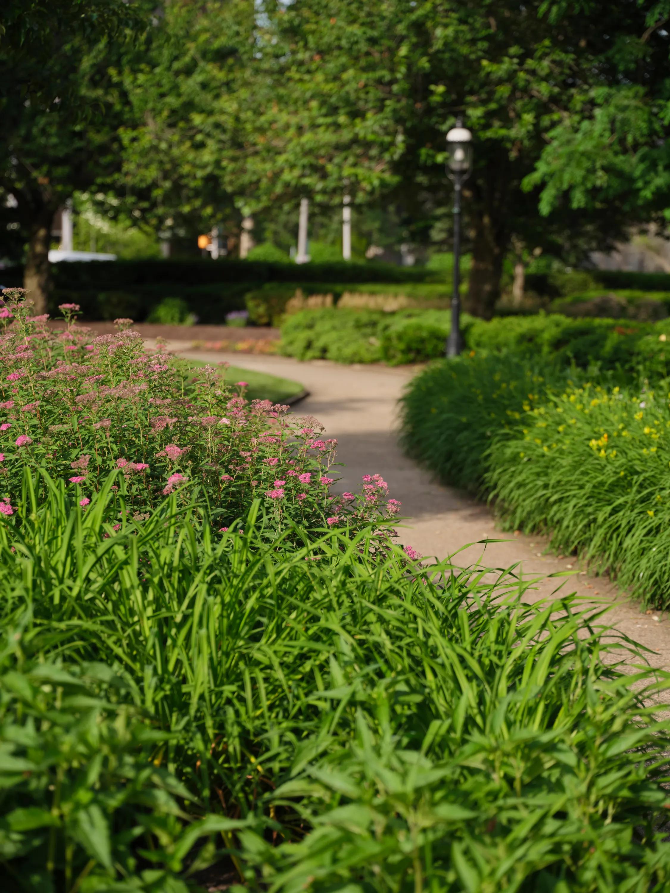 green space in park with winding sidewalk metropolitan at 40 park apartment homes for rent in morristown nj