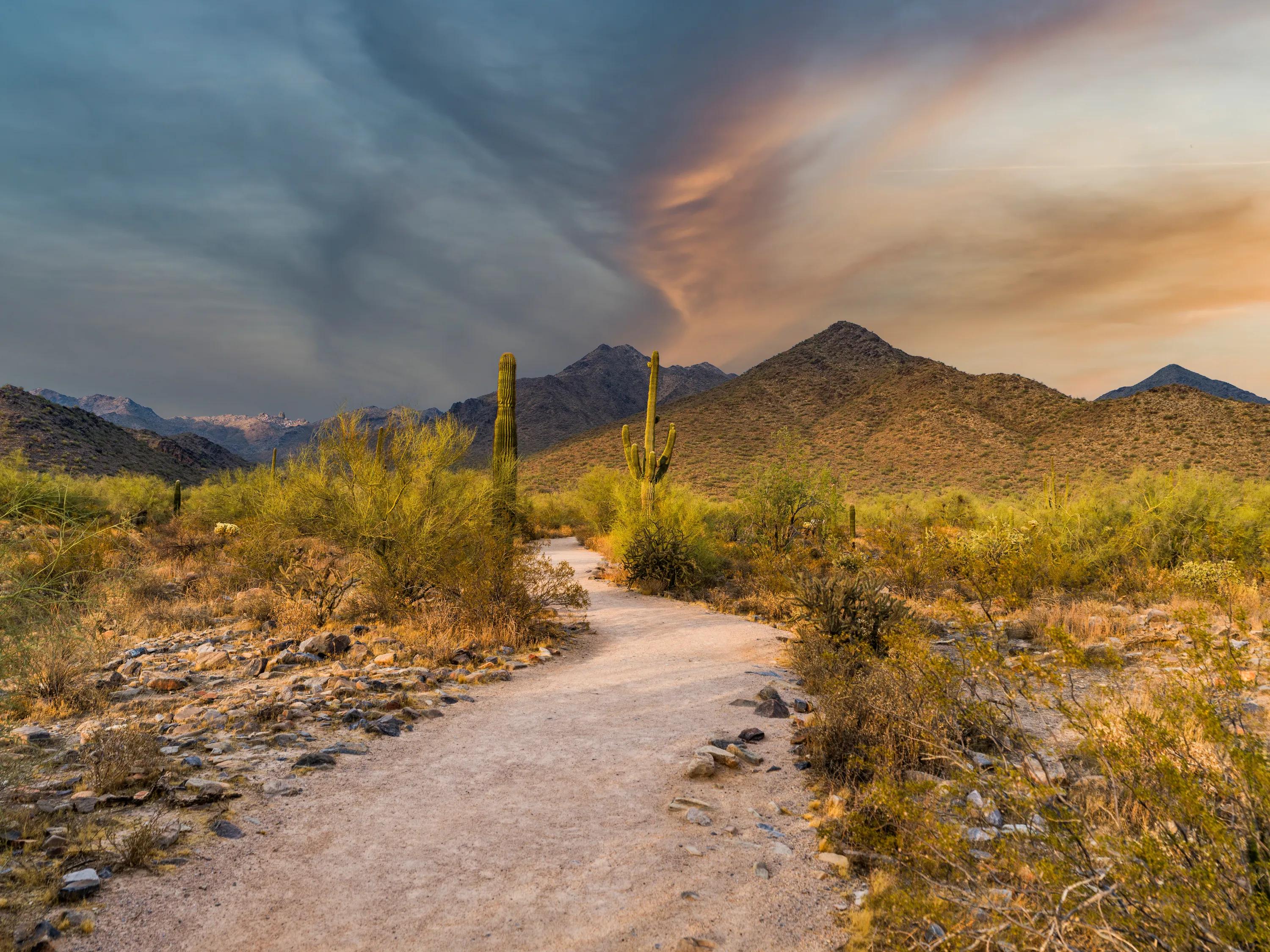 outdoor space with recreational gravel trail at modera kierland apartment homes for rent in scottsdale az