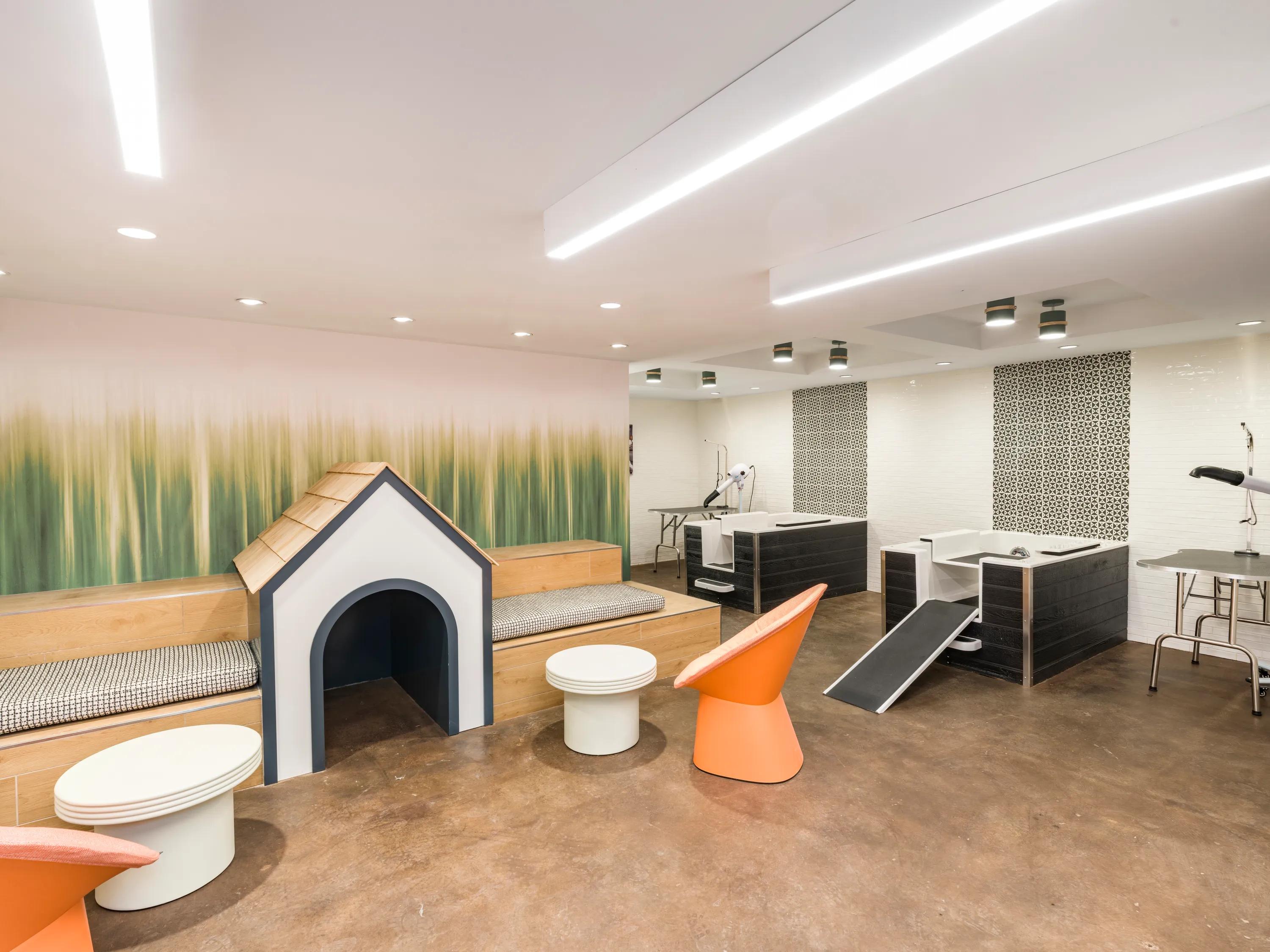 pet spa at pet friendly modera falls church apartment homes for rent in va