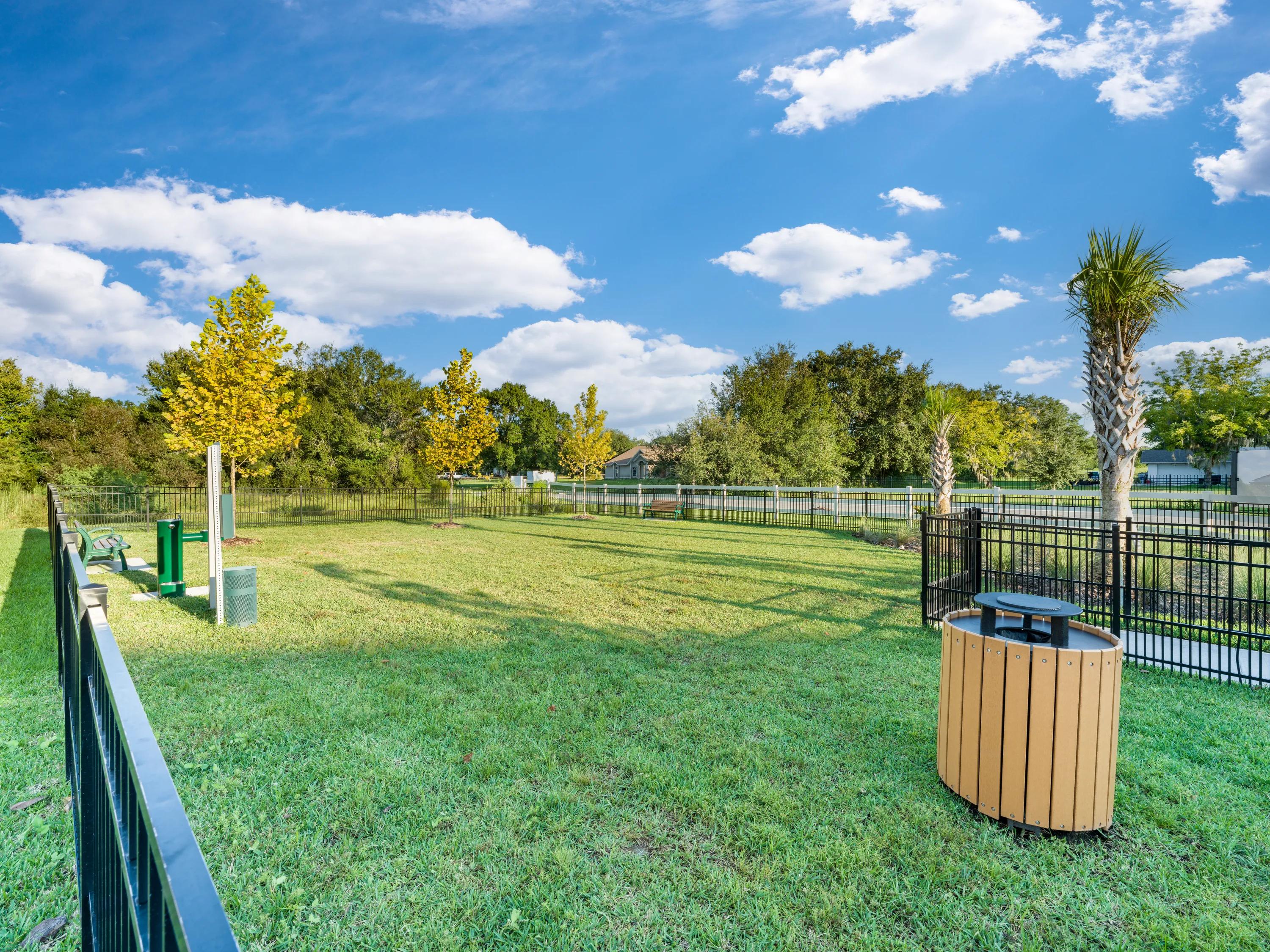 dog park amavi kissimmee single family homes for rent in florida
