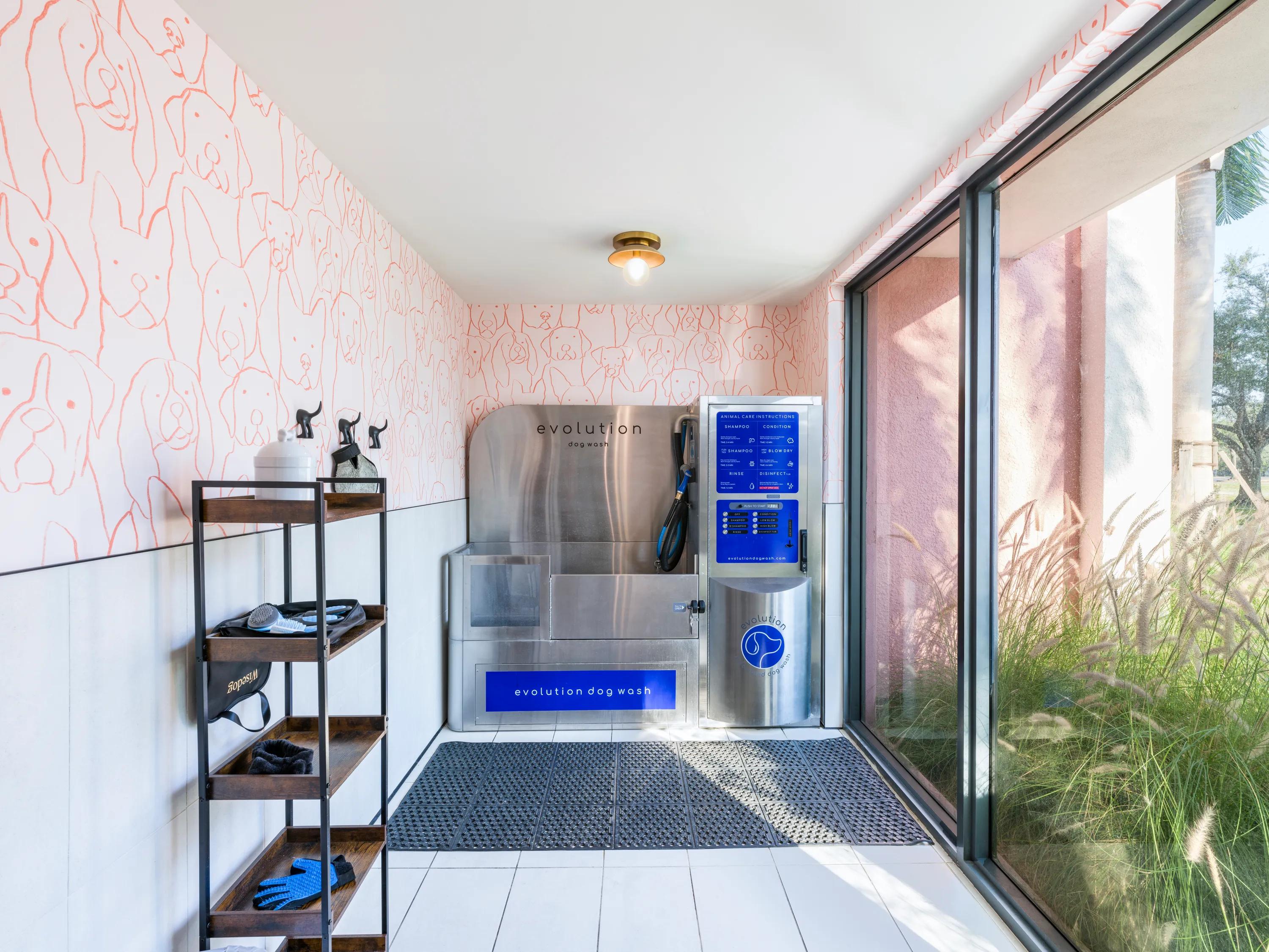 pet spa modera st. petersburg apartments for rent