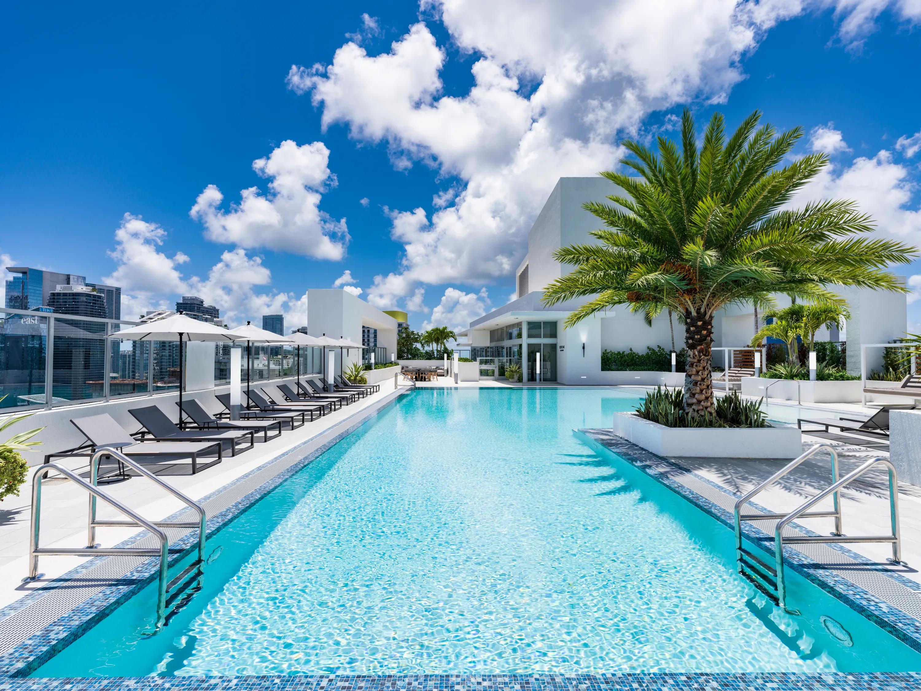 rooftop swimming pool with landscaping