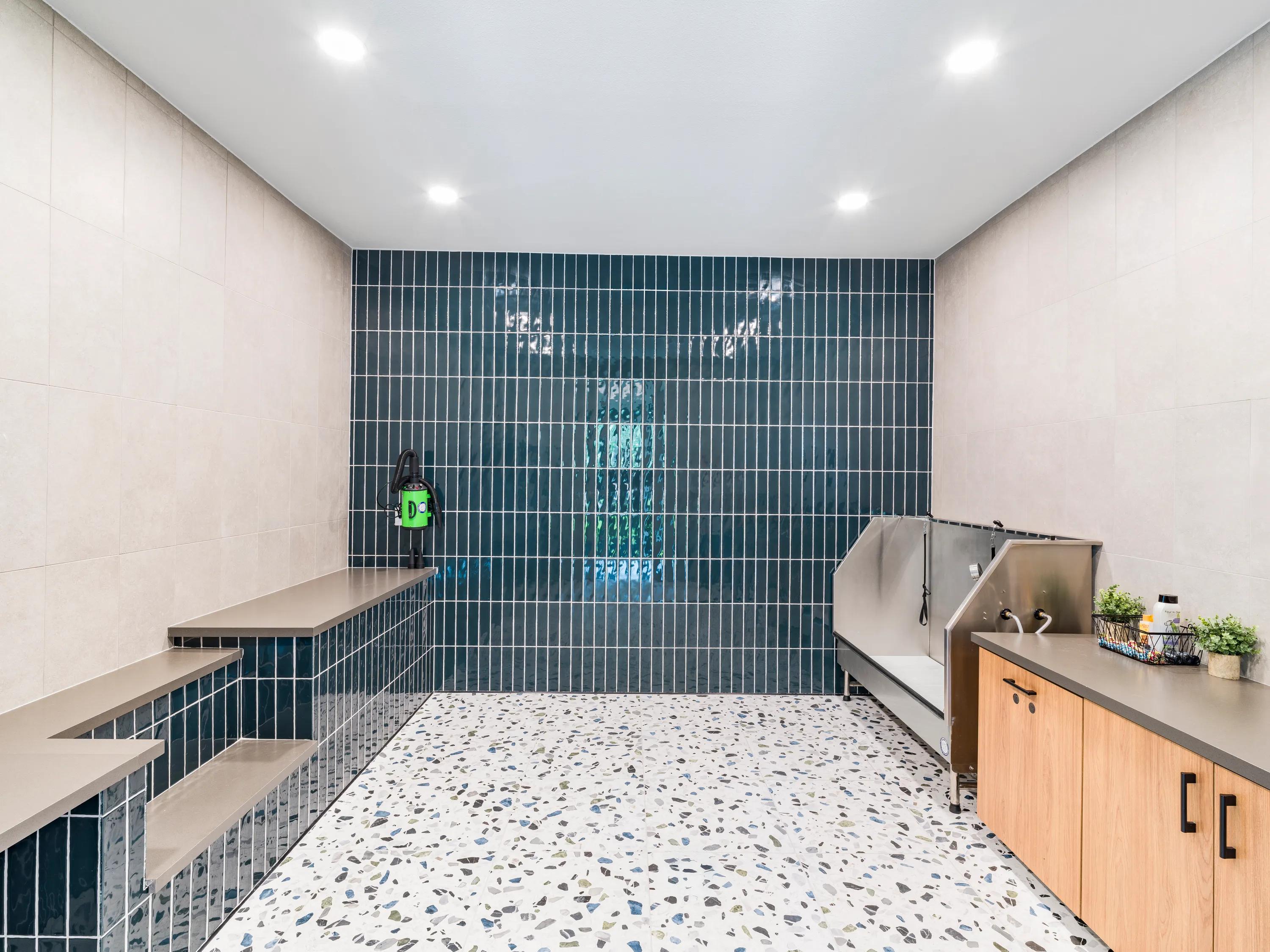 pet spa modera georgetown