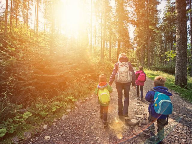 Adult and three children walking on a sunny trail