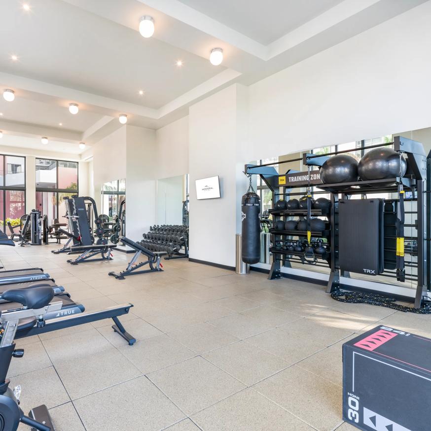 women doing yoga on mats in gym modera st petersburg apartment homes for rent in florida