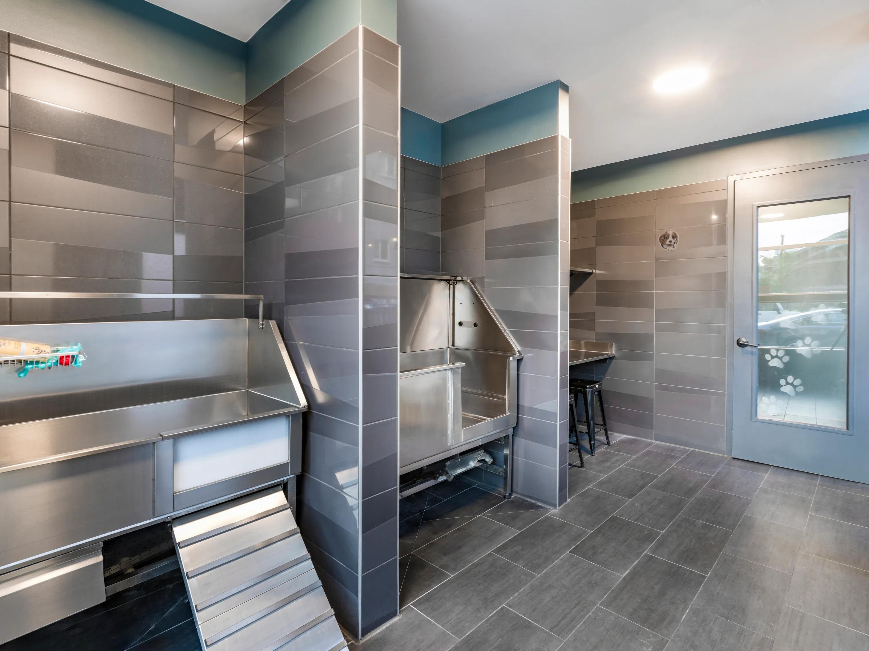 Pet-friendly community with pet spa and pet park modera west wash park denver