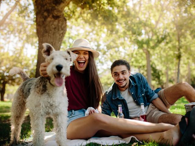 couple with their dog at the park on sunny day  modera higley commons apartment homes for rent in gilbert az