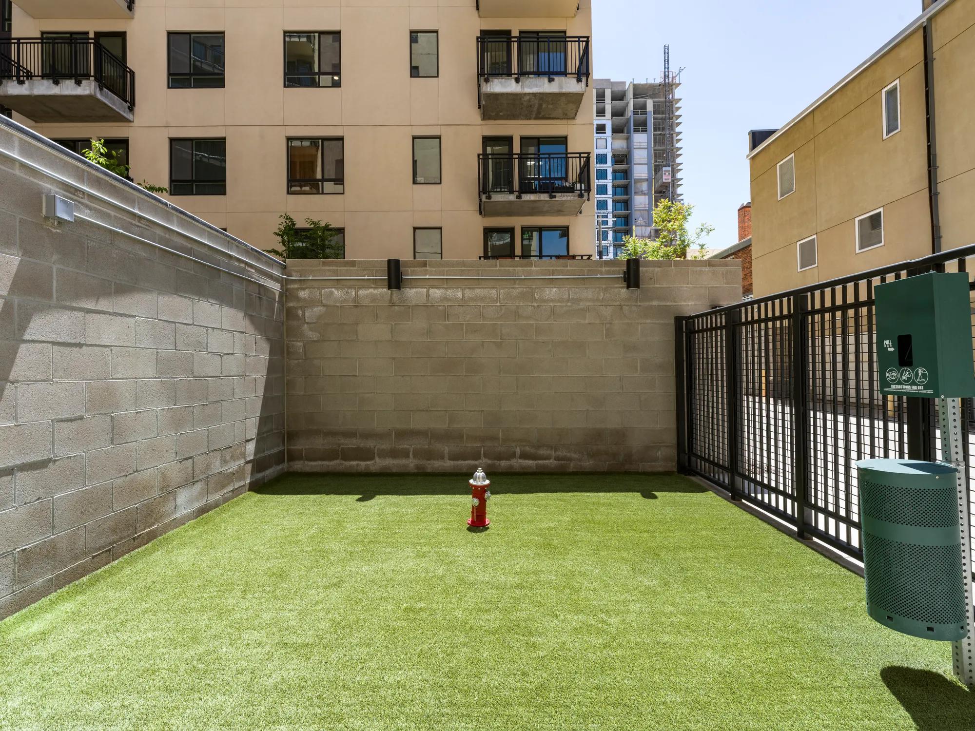pet park with cinder block wall and fence with turf modera golden triangle apartment homes for rent in denver co