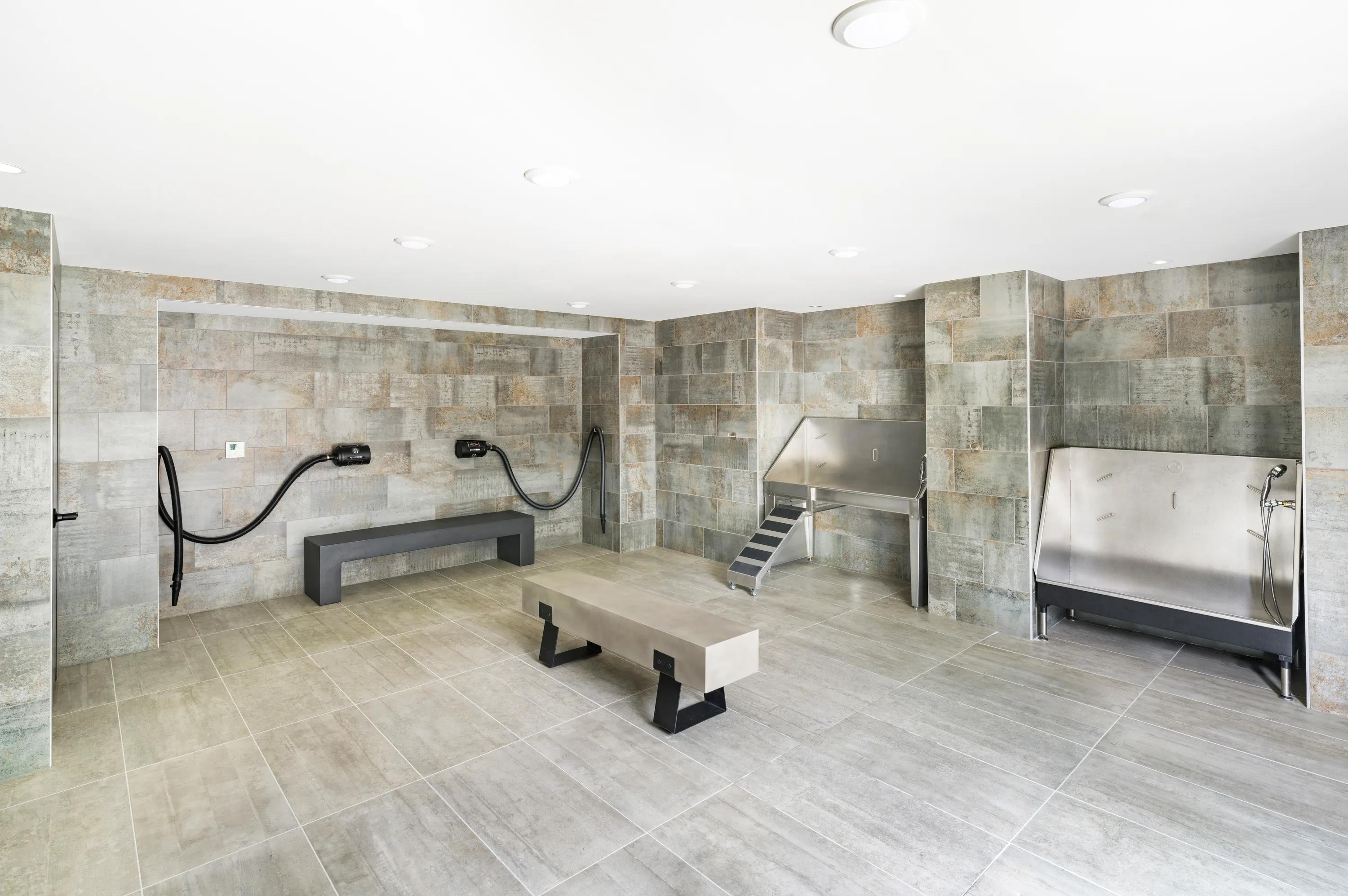 dog washing spa modera loso apartment homes for rent in charlotte nc