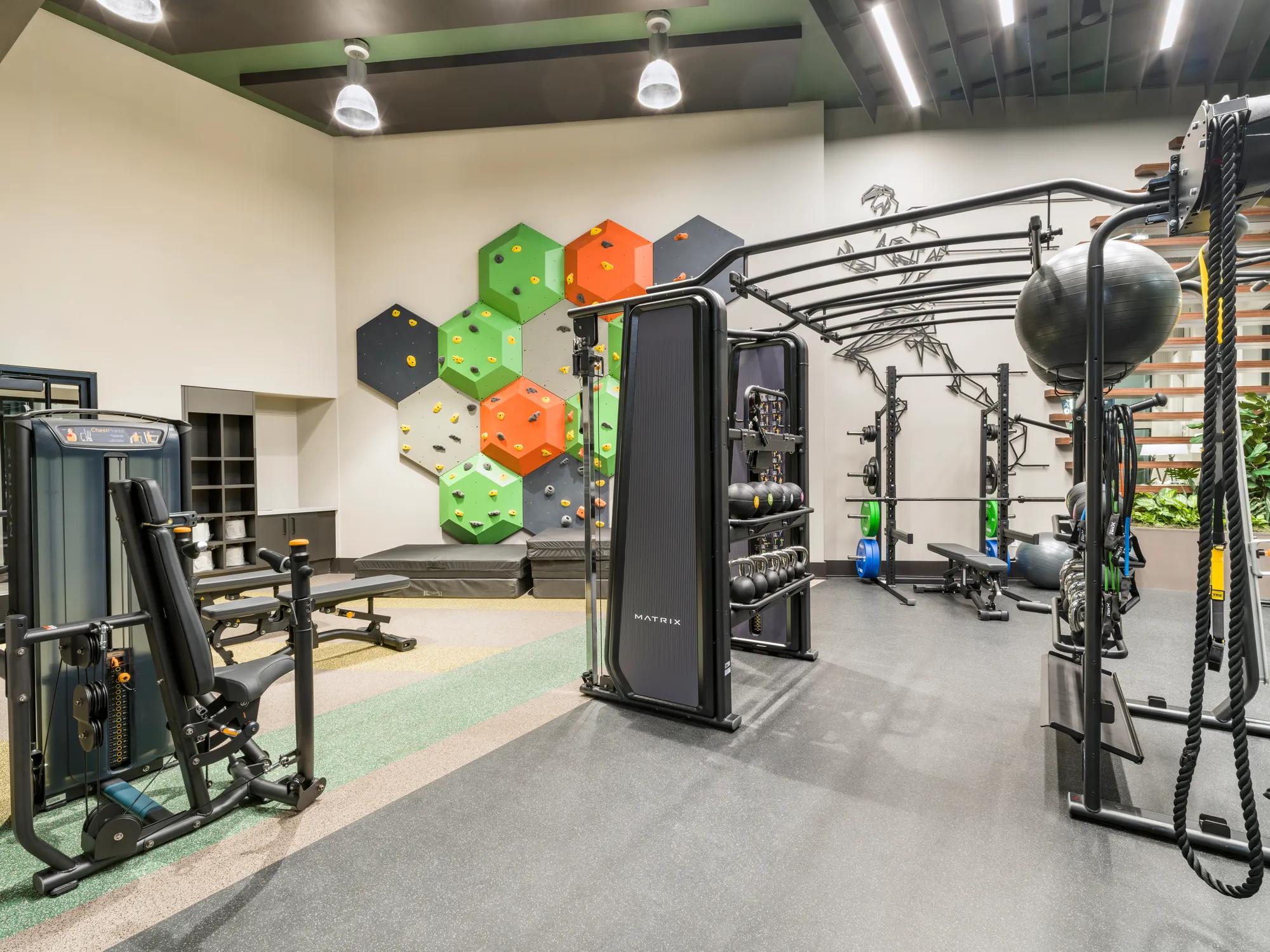 climbing wall and TRX system modera h street apartment homes for rent in washington dc