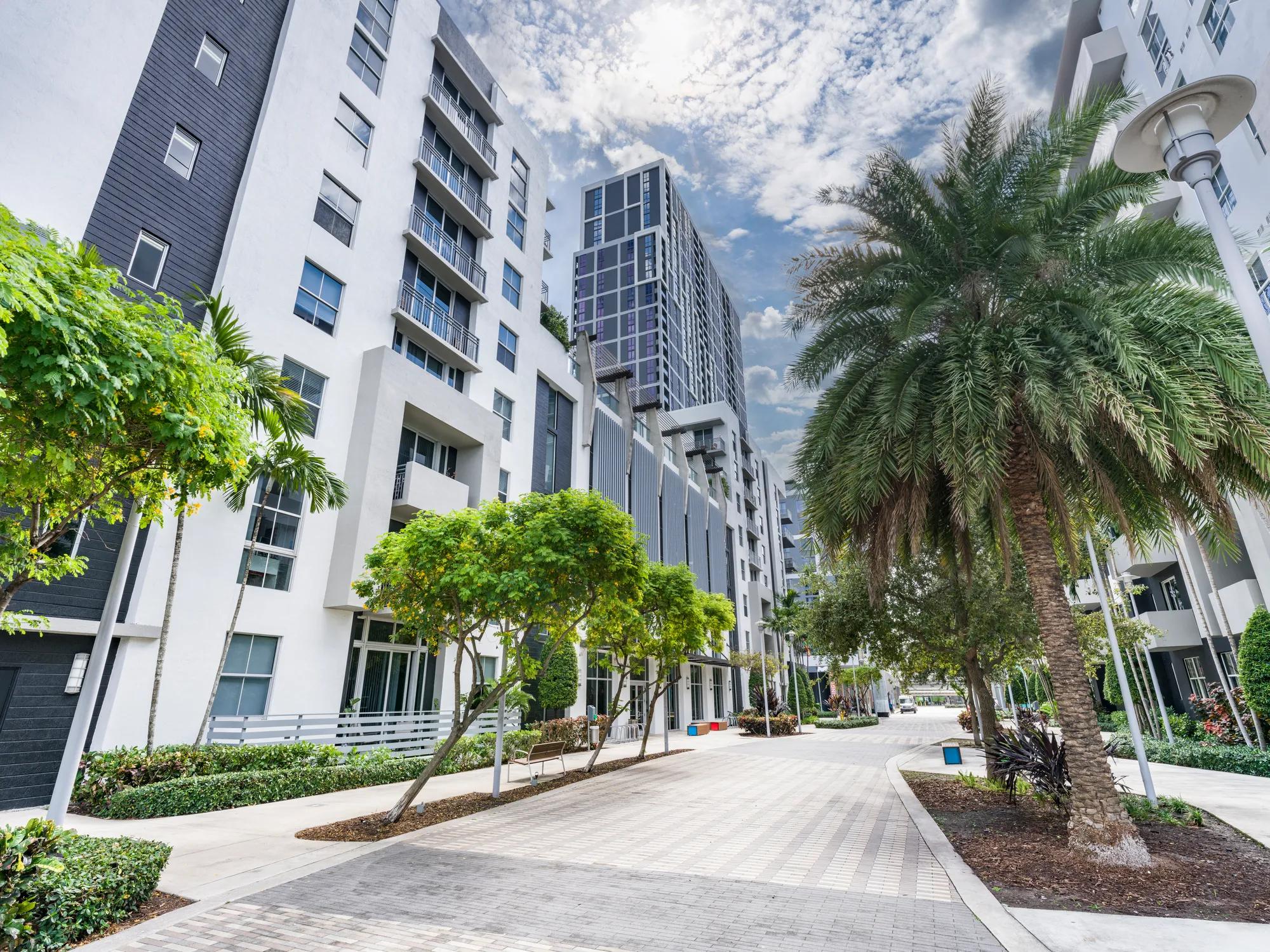 exterior corridor to apartments with palm trees and blue skies modera douglas station miami florida apartments