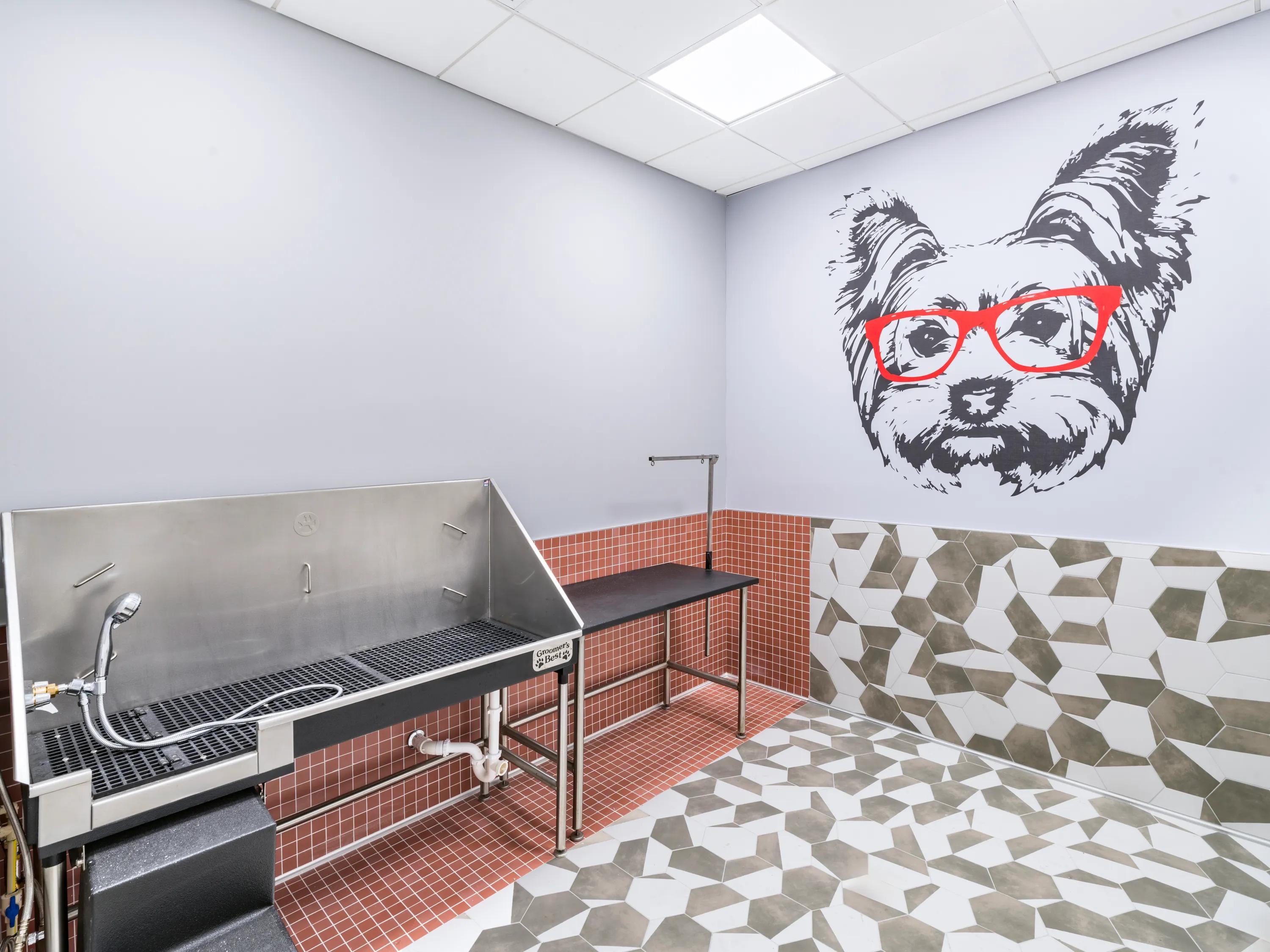 dog washing pet spa modera riverside apartment homes for rent in miami fl