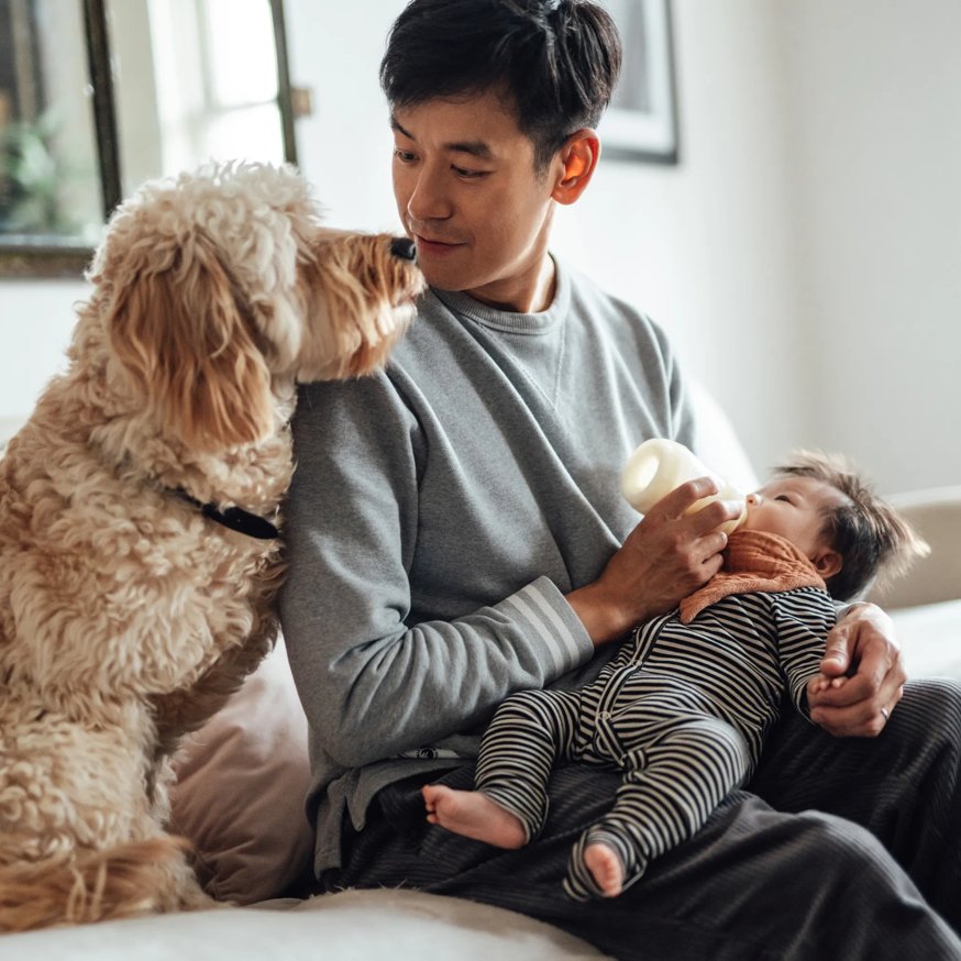 man feeding baby while dog is sitting nearby modera beaverton apartment homes for rent in or