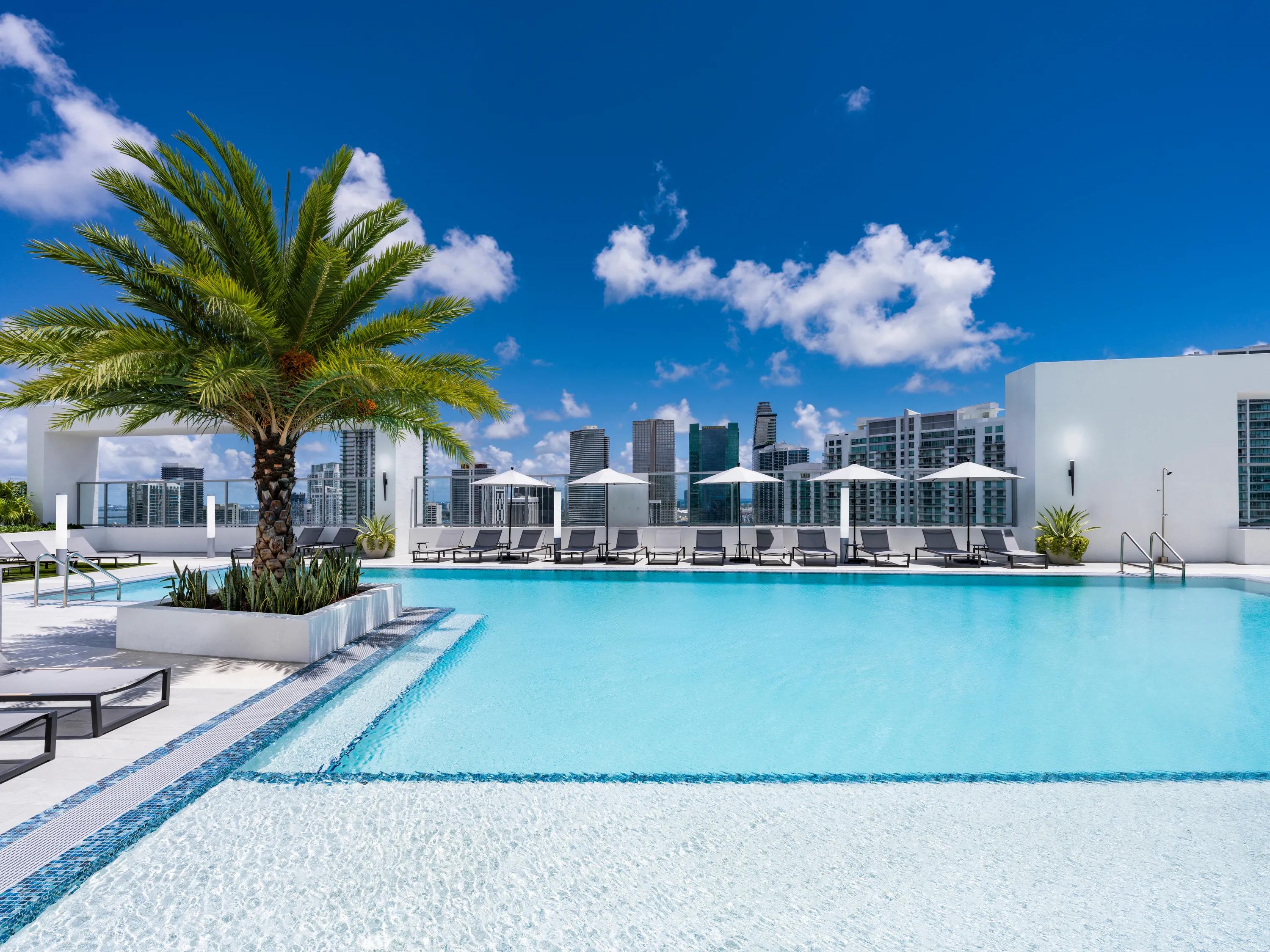 poolside sunbathing deck with palm trees modera riverside apartment homes for rent in miami fl