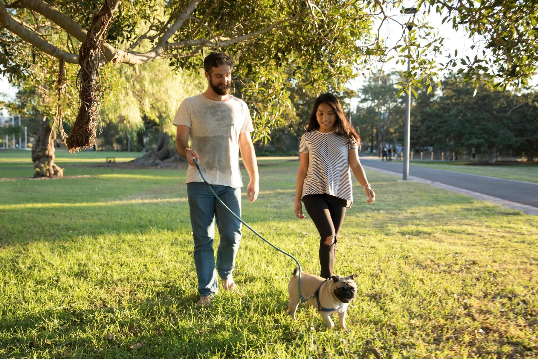 man and woman walking pug modera st. paul apartments
