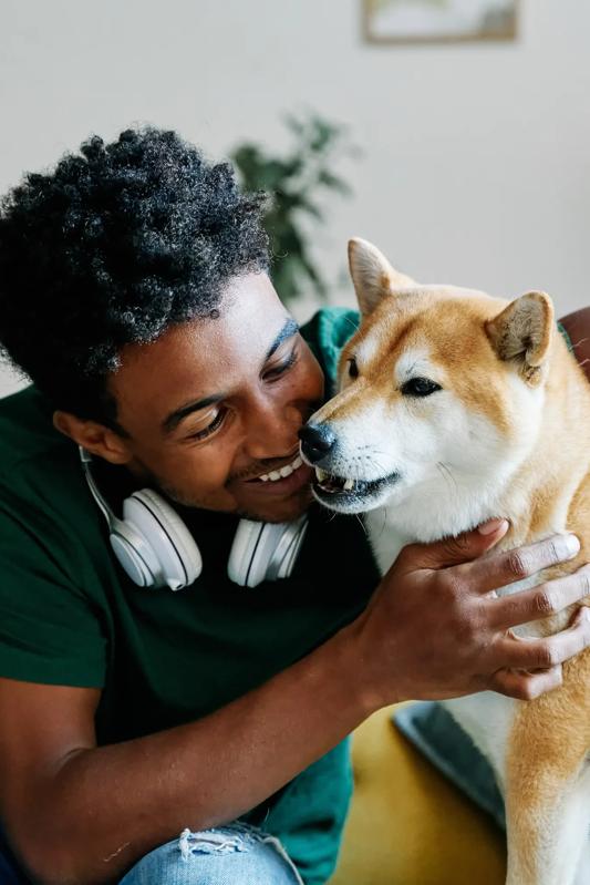 modera nations apartments for rent in nashville tn young man sitting on couch hugging dog