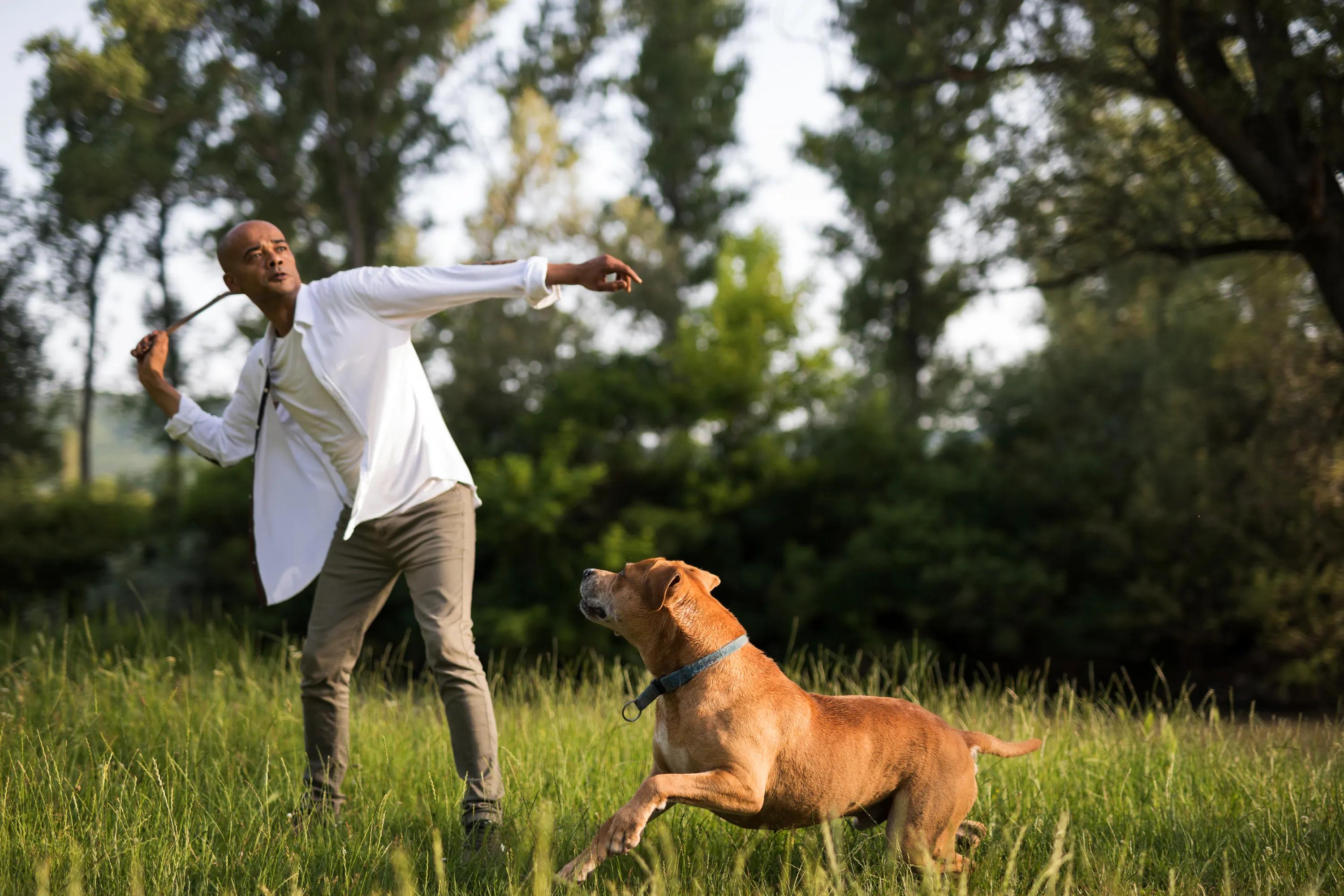pet friendly apartments modera ridgeline apartments in mckinney tx