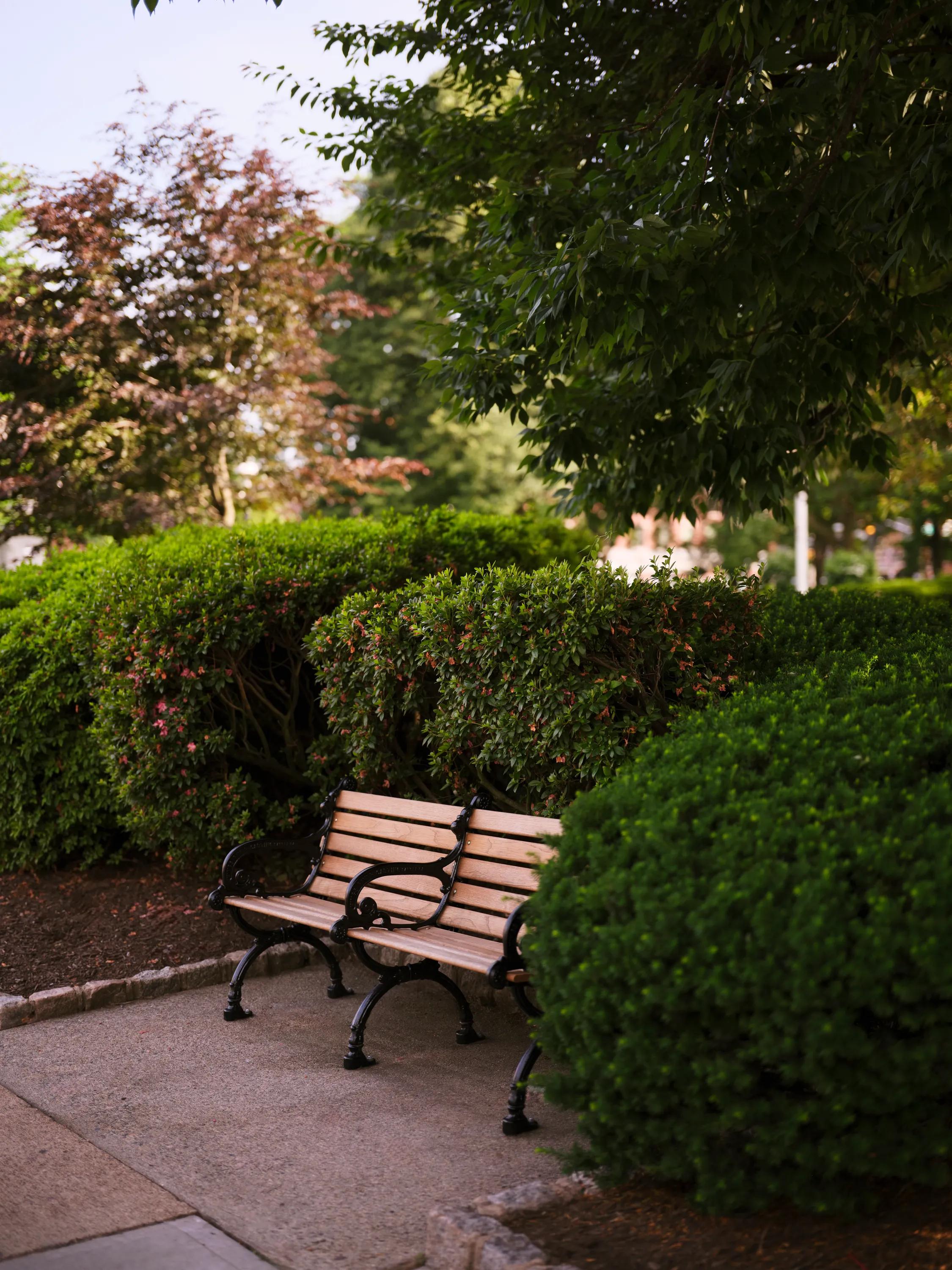 bench in park with bushes surrounding metropolitan at 40 park apartment homes for rent in morristown nj