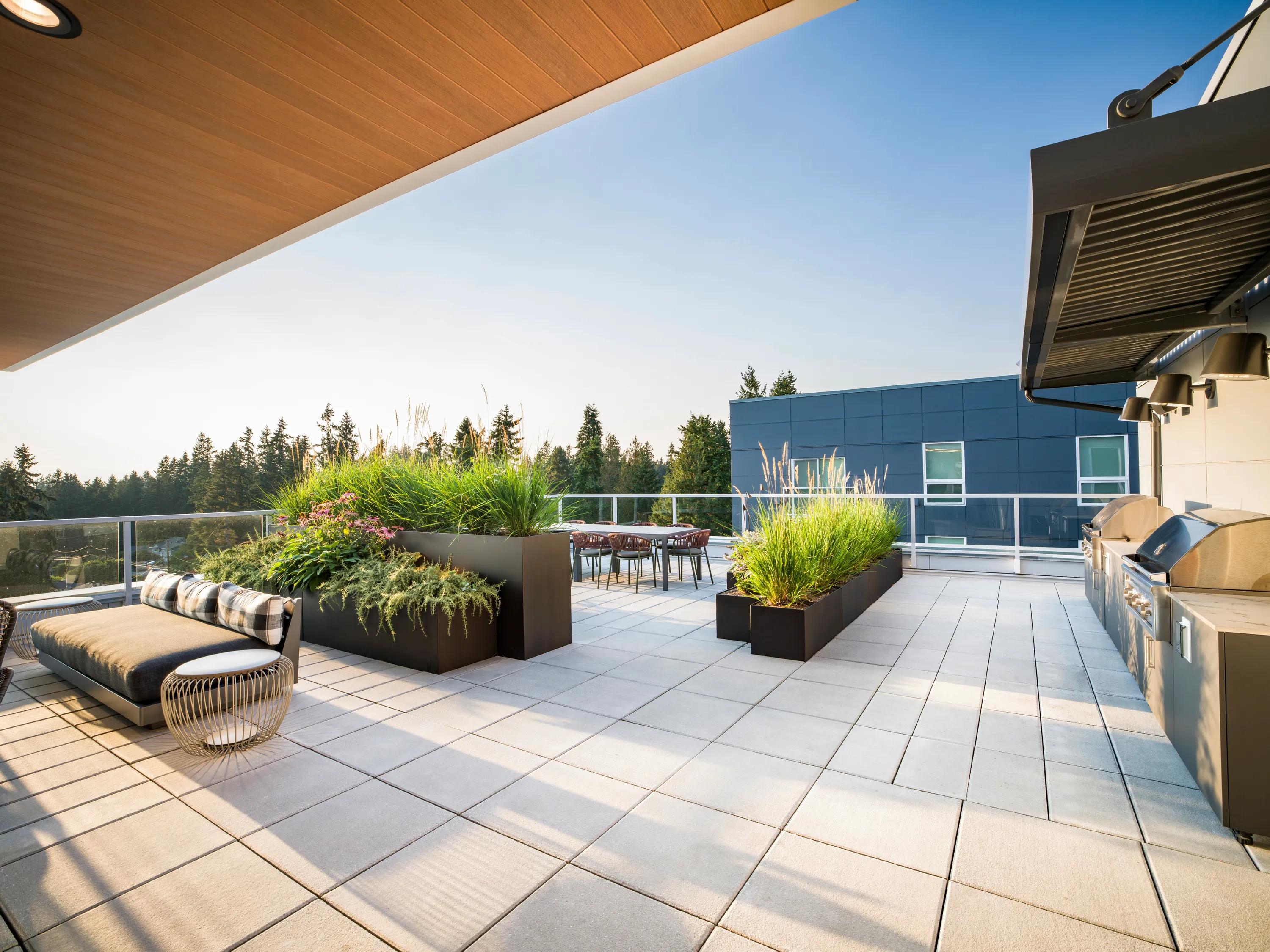 rooftop lounge modera shoreline apartment homes for rent in wa