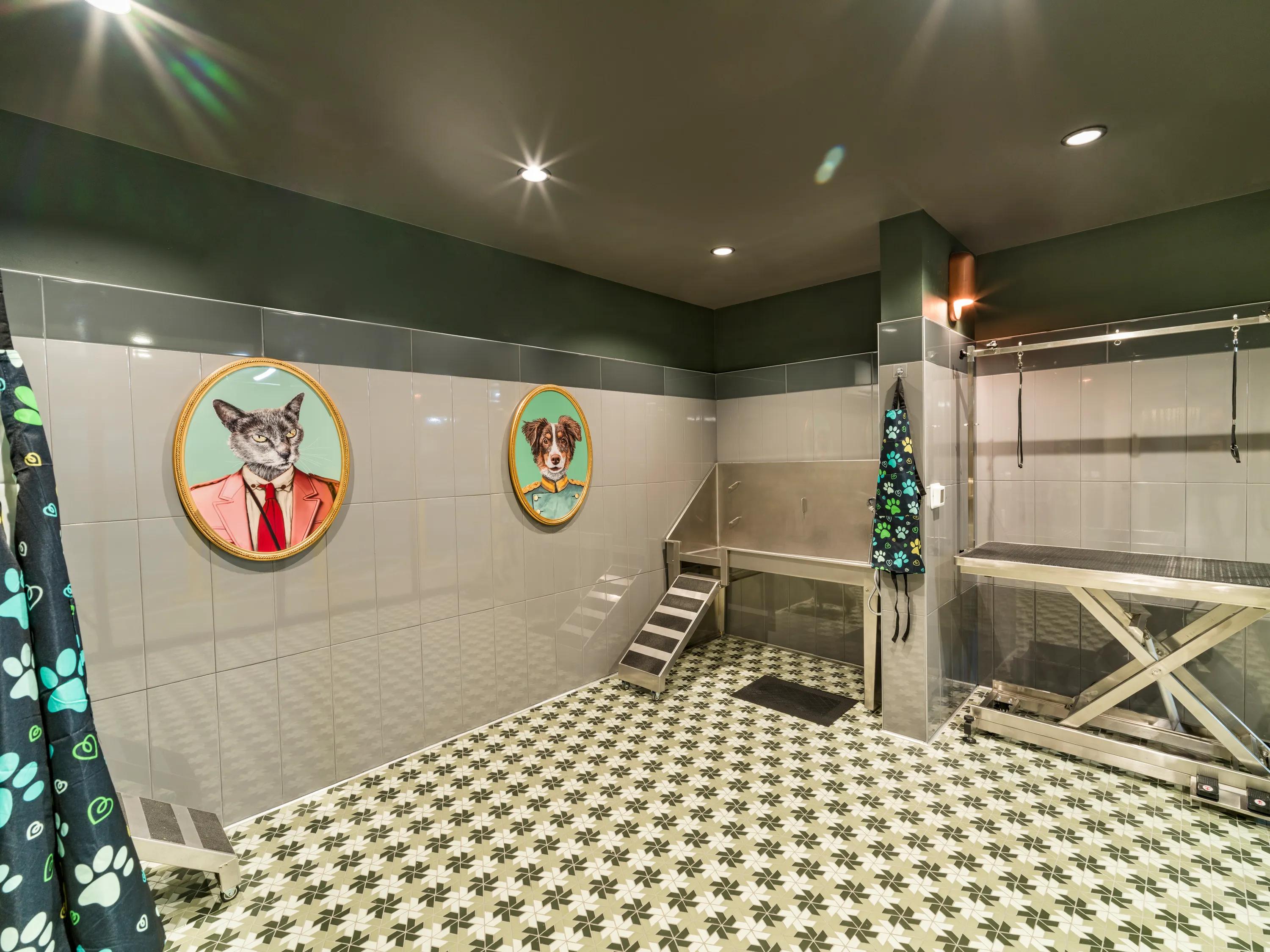 pet spa with retro finishes modera st paul apartment homes for rent
