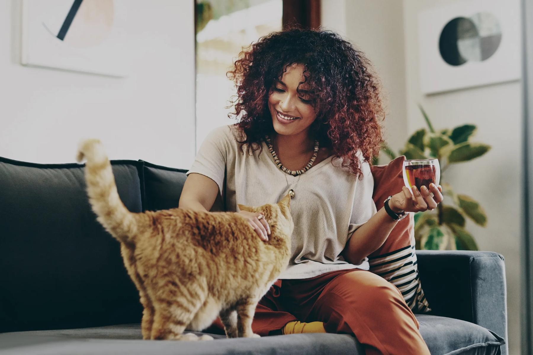 woman petting cat inside apartments home while holding wine glass apartments&nbsp;