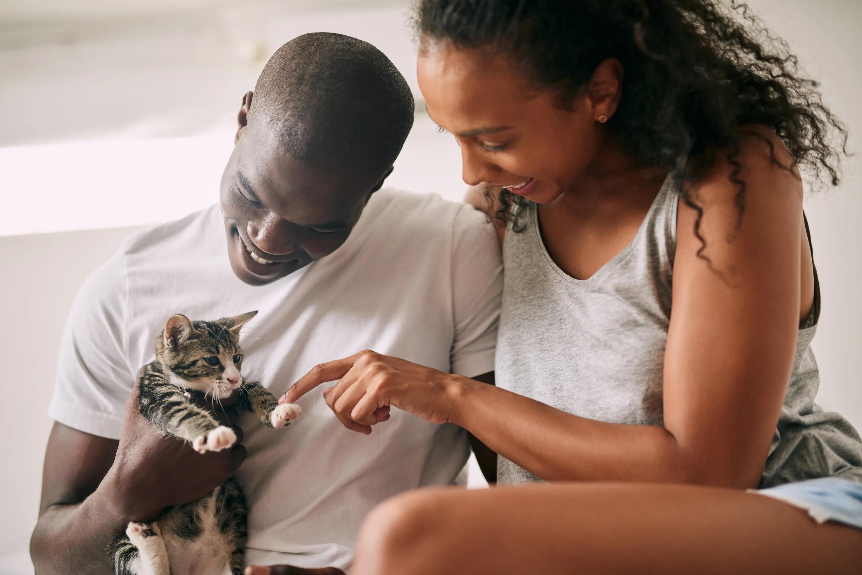 pet-friendly modera second avenue apartments in denver co