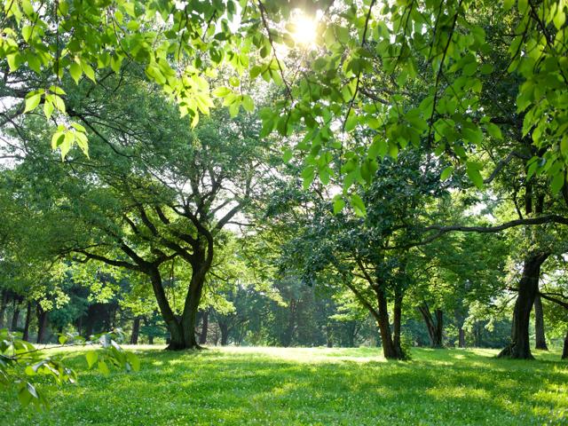 Cutler Park Reserve and Wilson Mountain Reservation nearby the avens at dedham station apartments