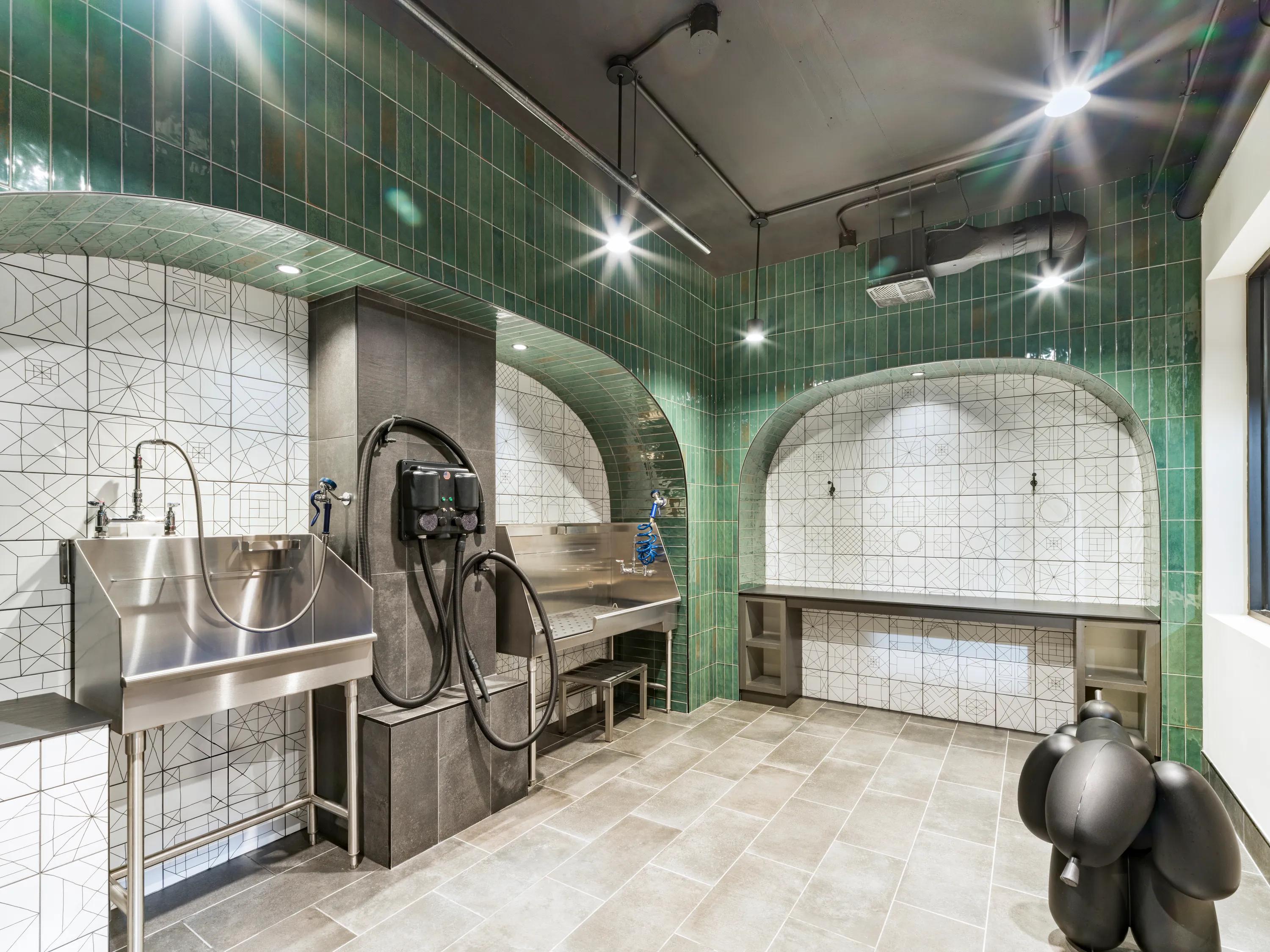 Pet-friendly community with pet spa modera h street apartments in washington dc