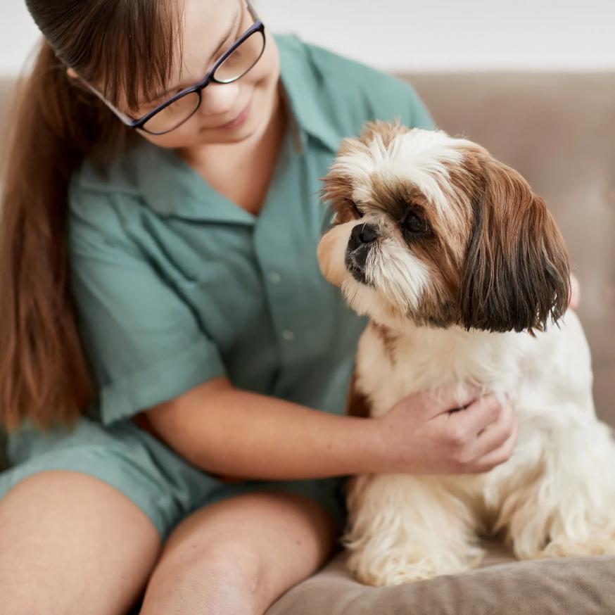 girl with dog sitting on couch metropolitan at 40 park apartment homes for rent in morristown nj
